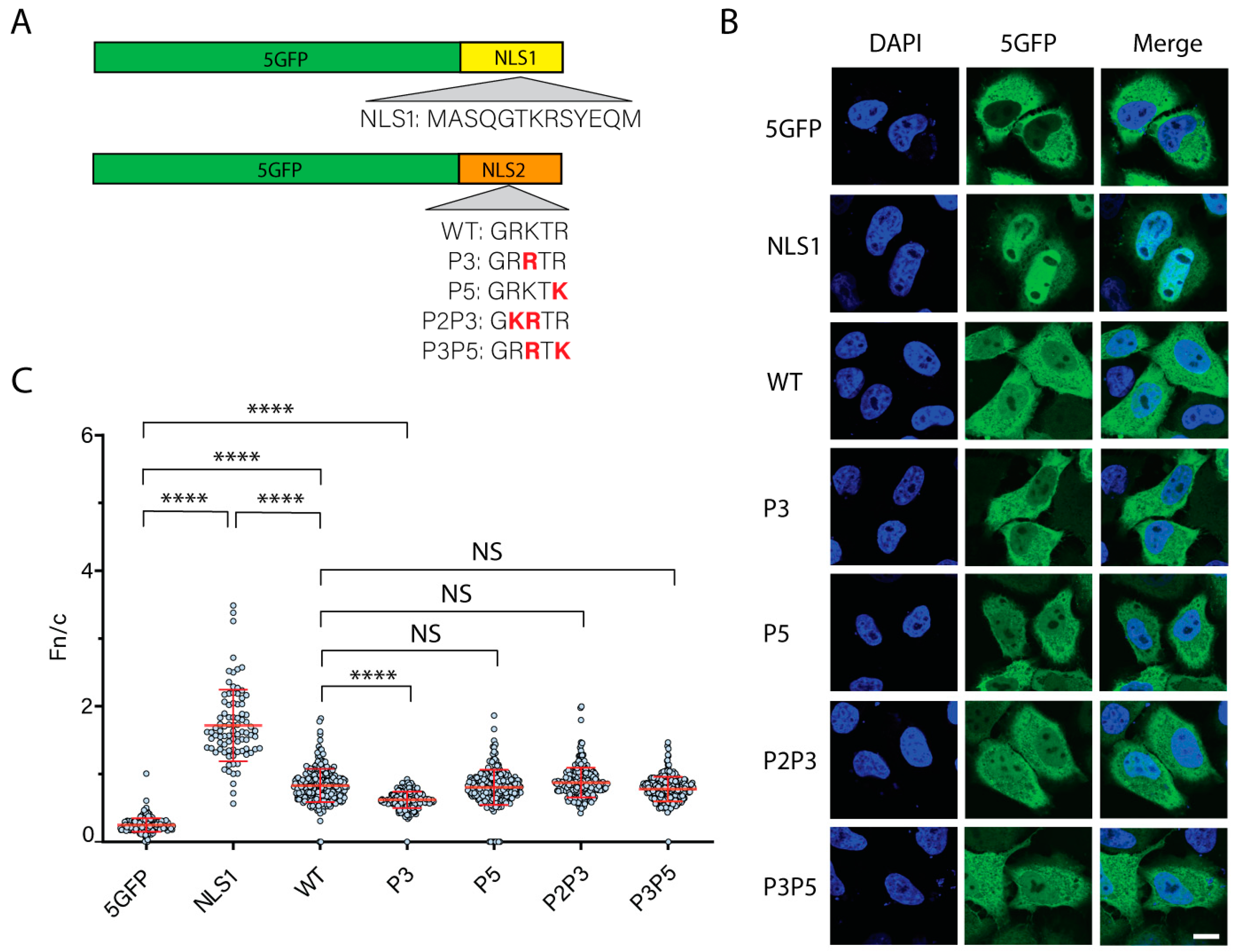 Cells 11 02957 g003 Cells 11 02957 g003