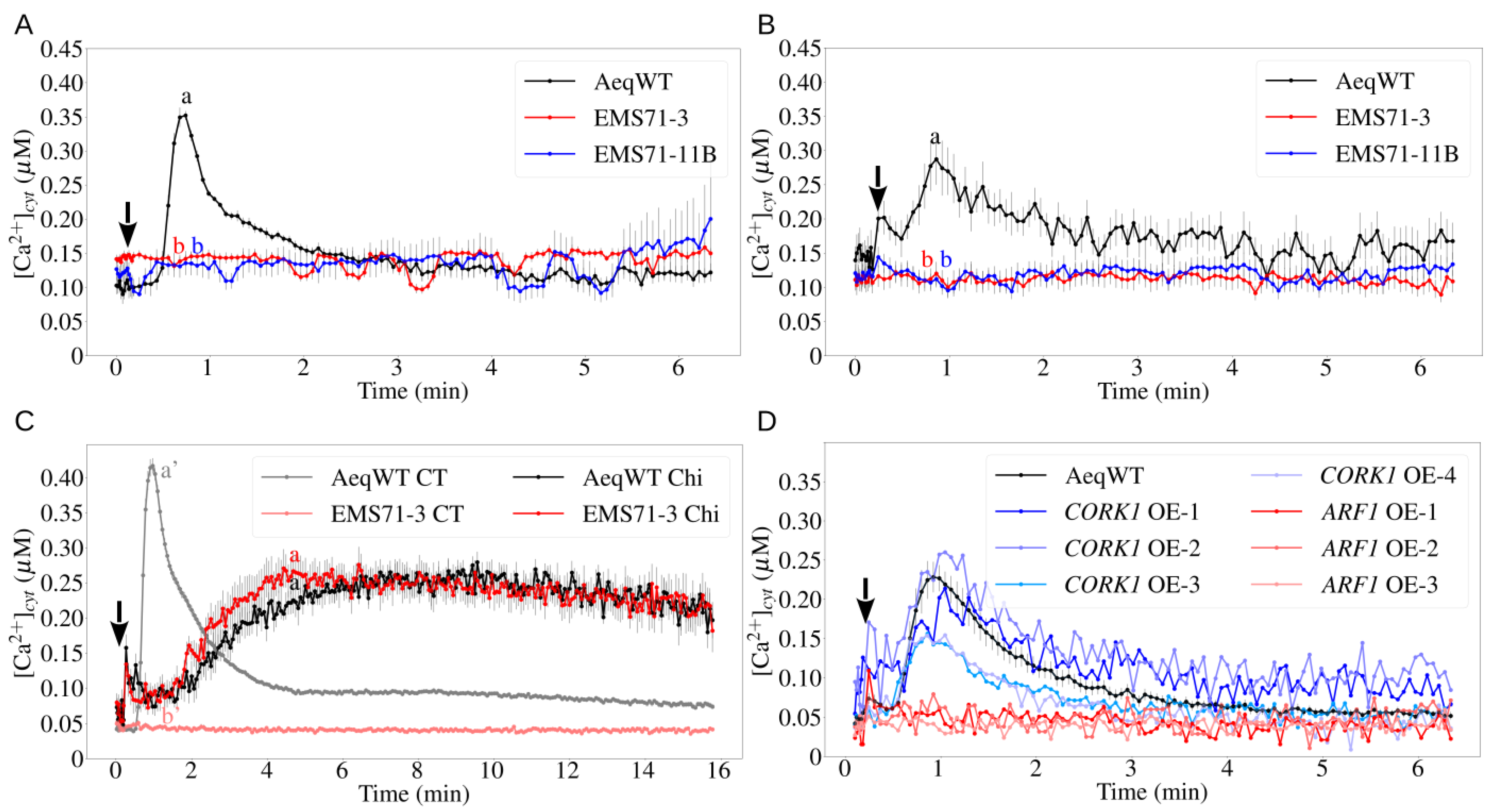 Cells 11 02960 g001 Cells 11 02960 g001