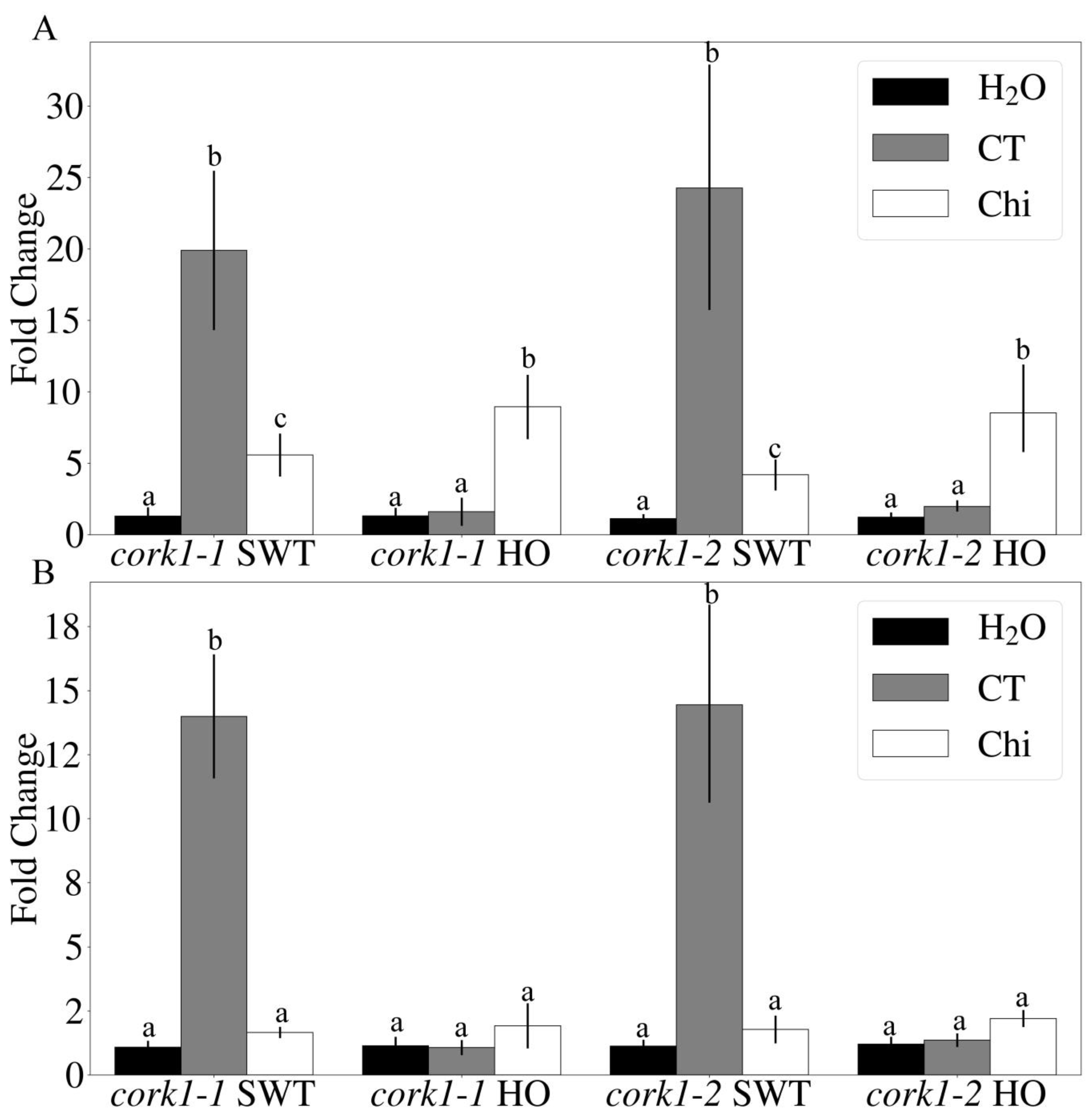 Cells 11 02960 g005 Cells 11 02960 g005