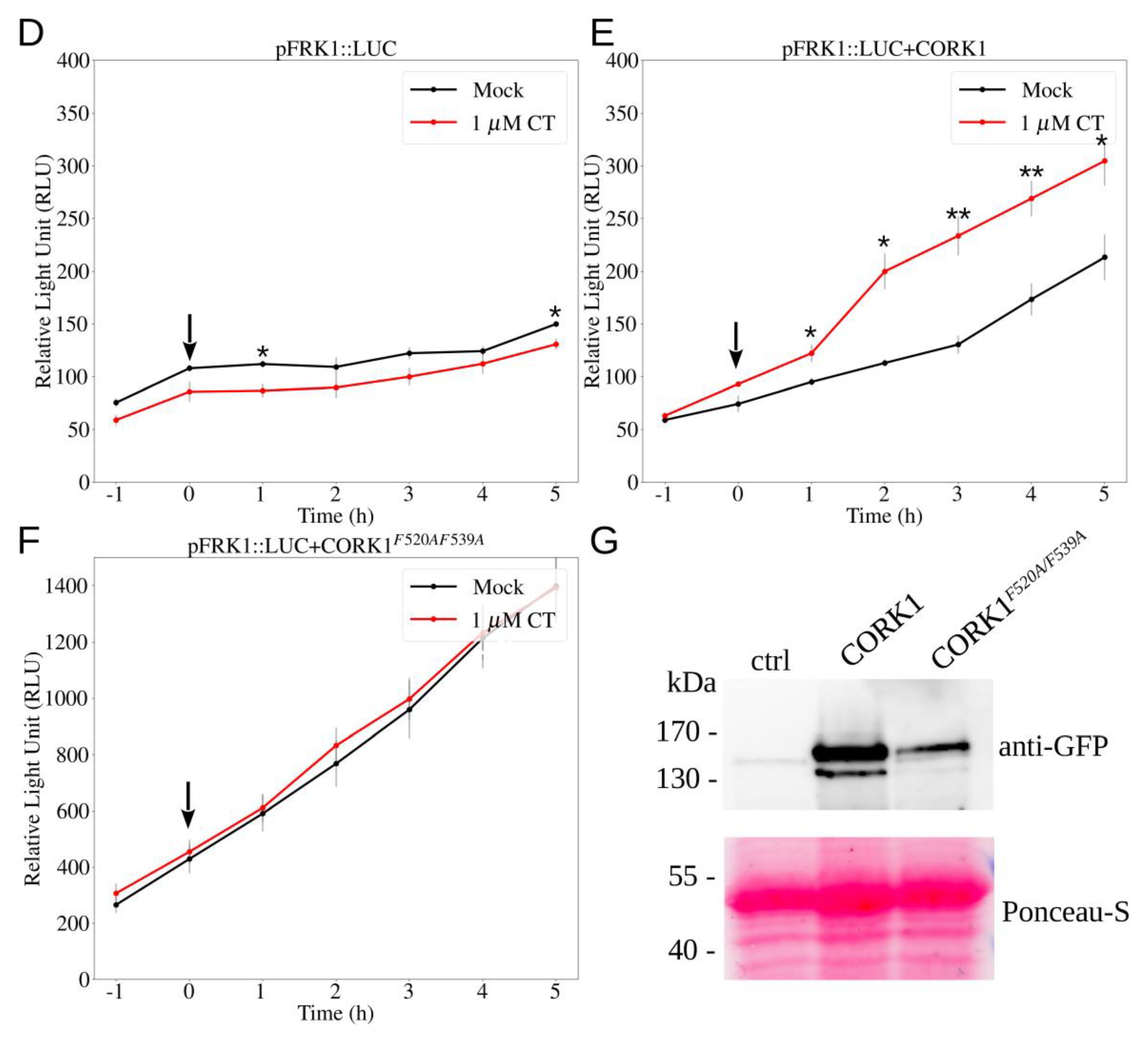 Cells 11 02960 g006b Cells 11 02960 g006b