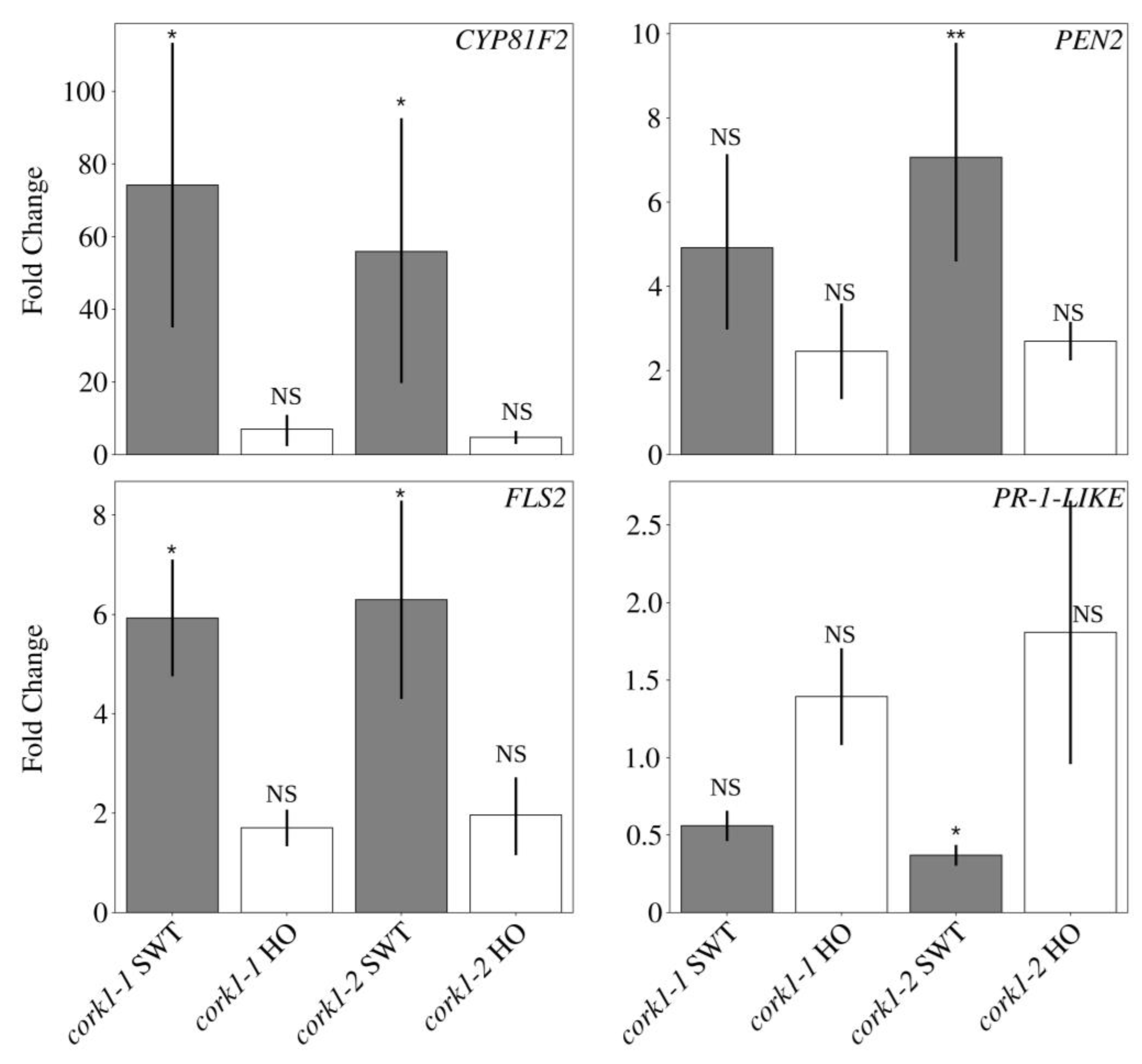 Cells 11 02960 g007b Cells 11 02960 g007b
