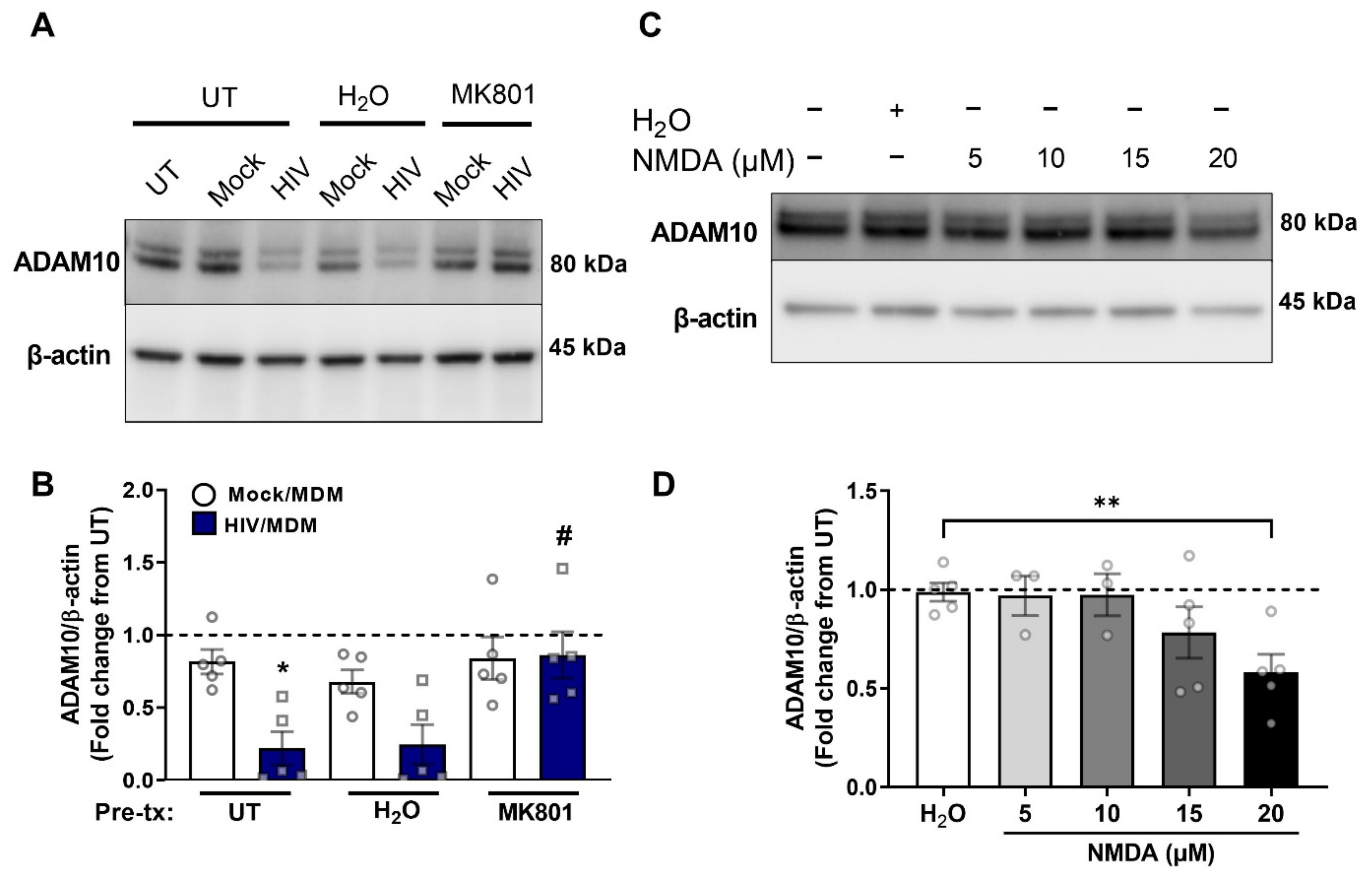 Cells 11 02962 g003 Cells 11 02962 g003