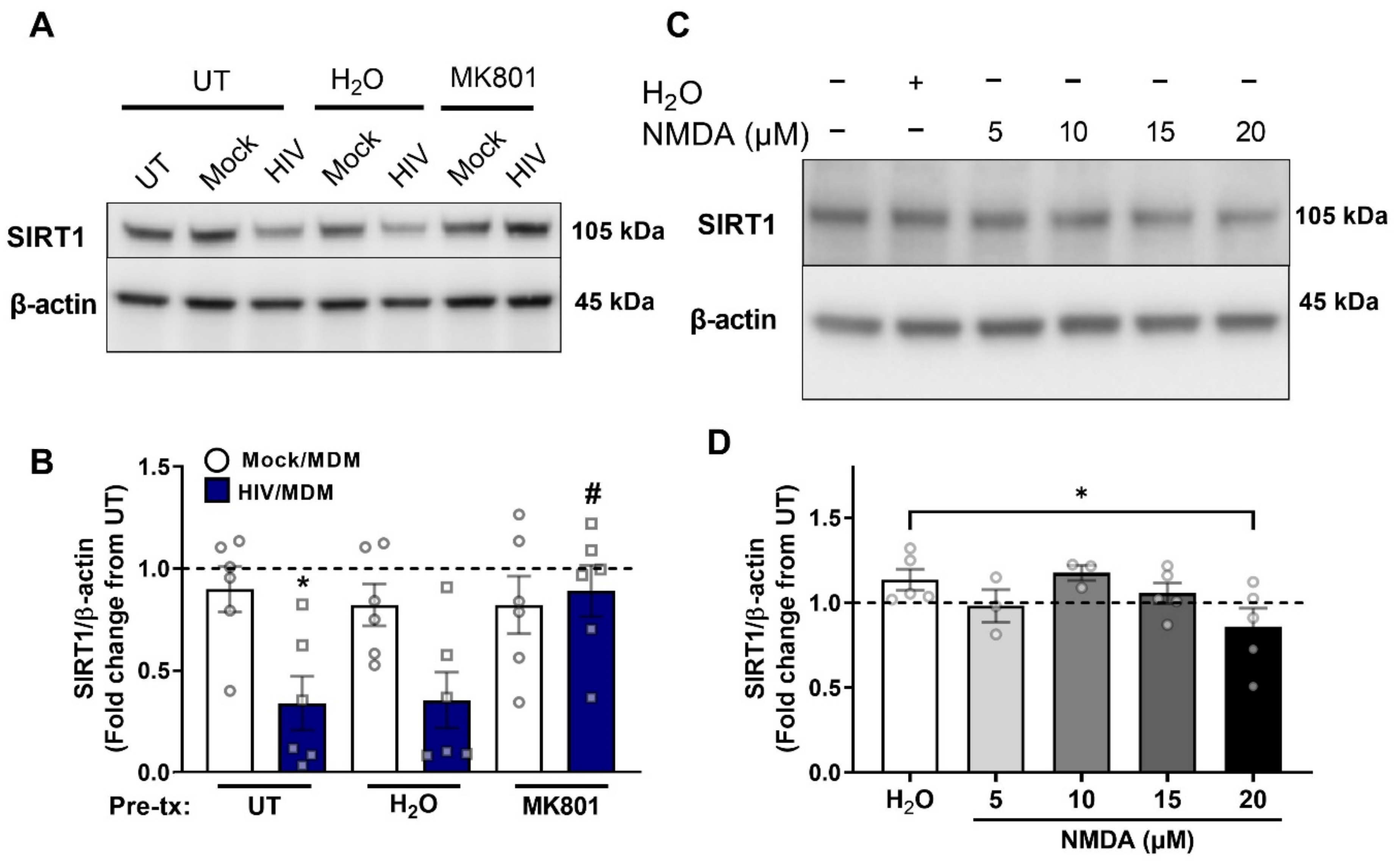 Cells 11 02962 g005 Cells 11 02962 g005