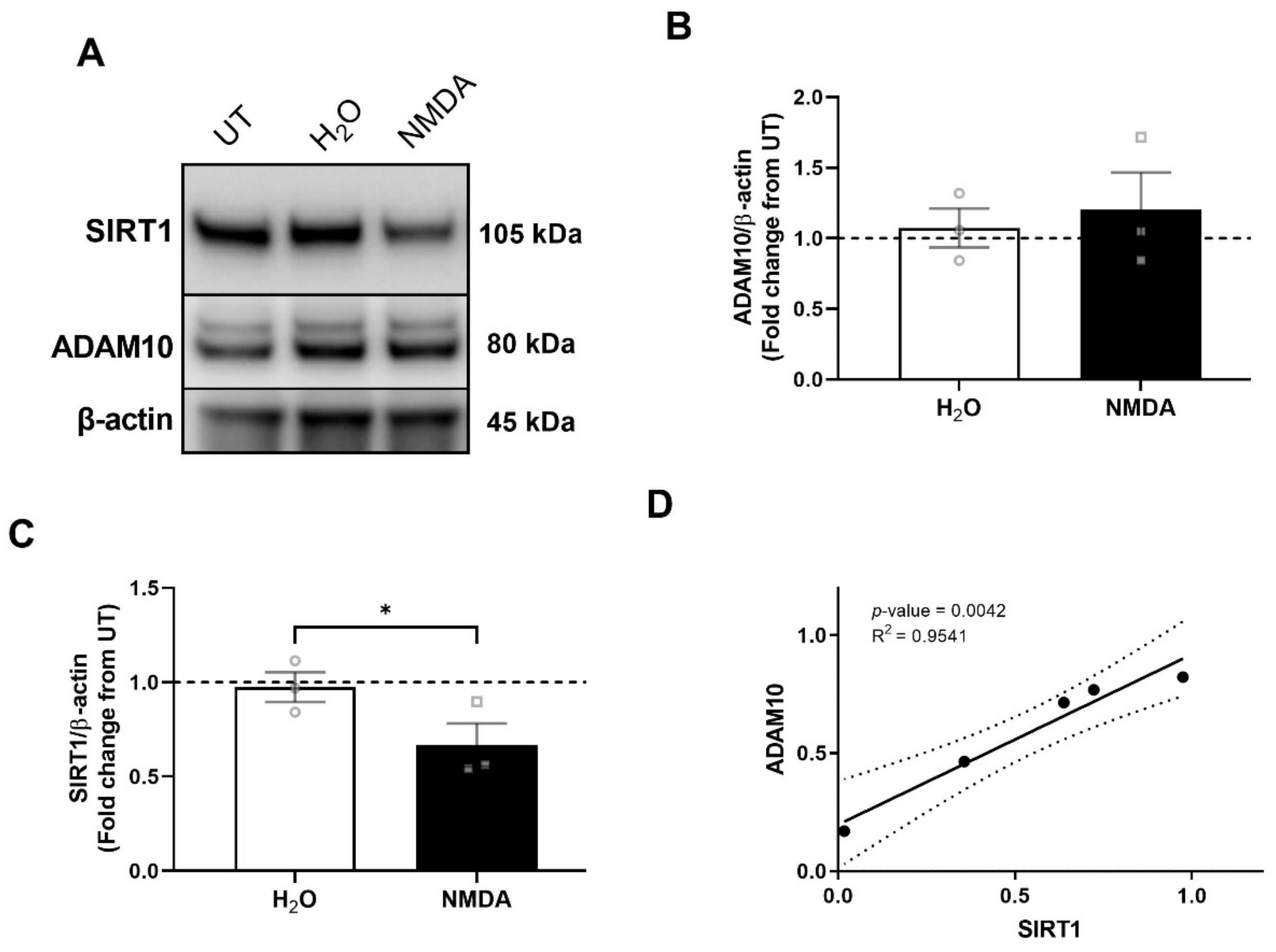 Cells 11 02962 g006 Cells 11 02962 g006