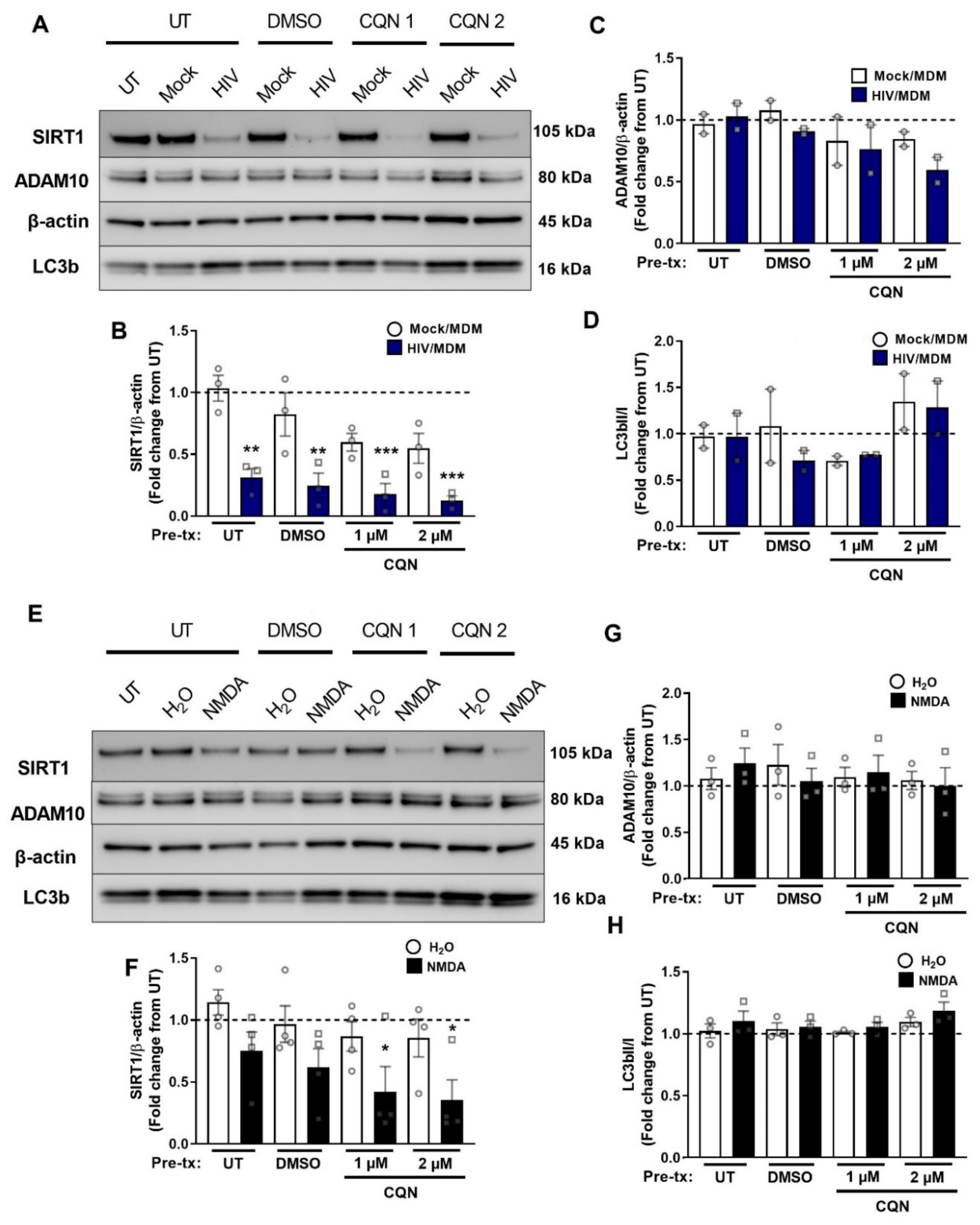 Cells 11 02962 g007 Cells 11 02962 g007