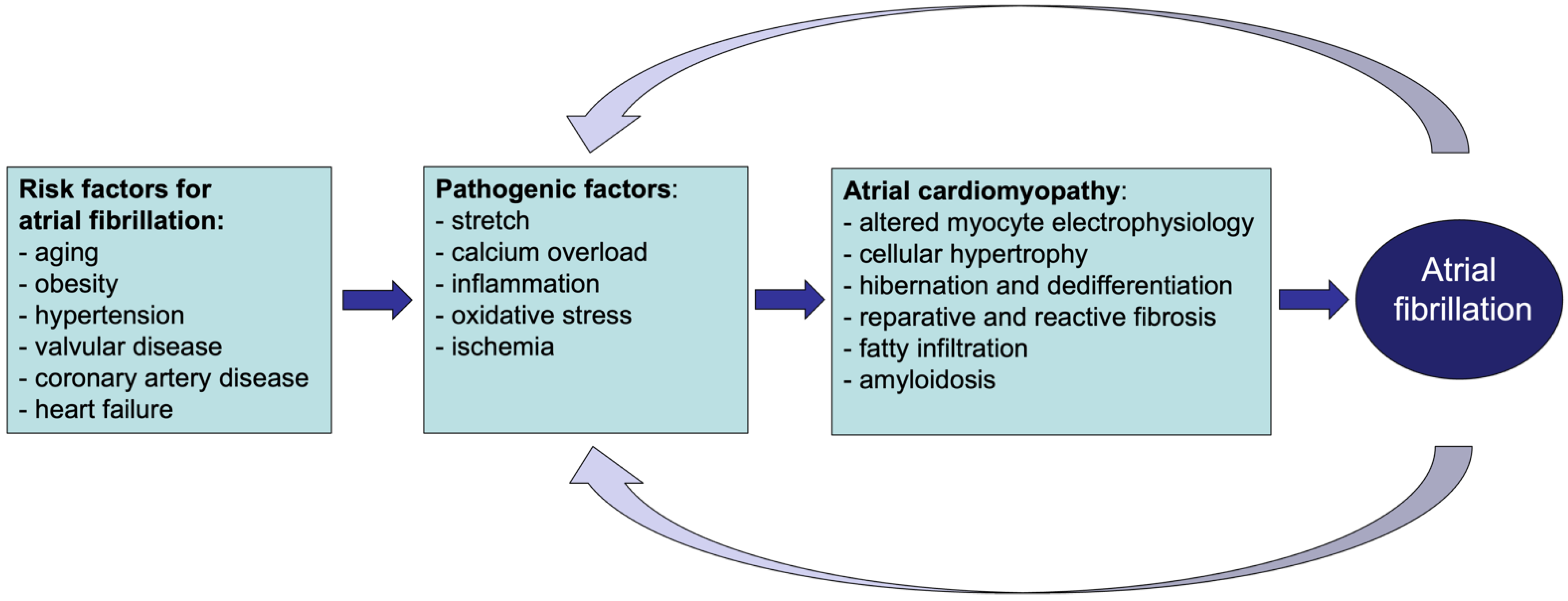 Cells 11 02963 g001 Cells 11 02963 g001