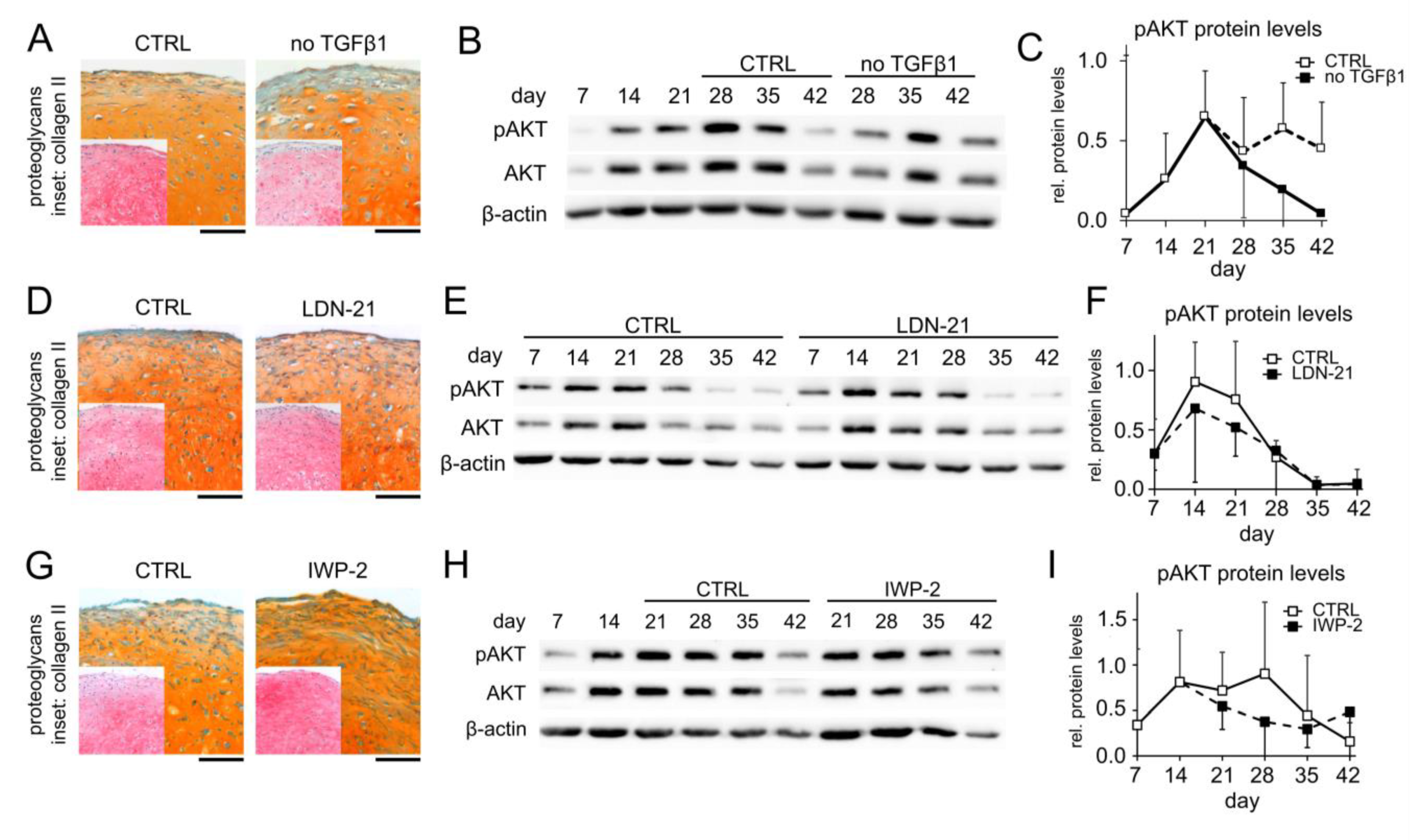 Cells 11 02965 g002 Cells 11 02965 g002