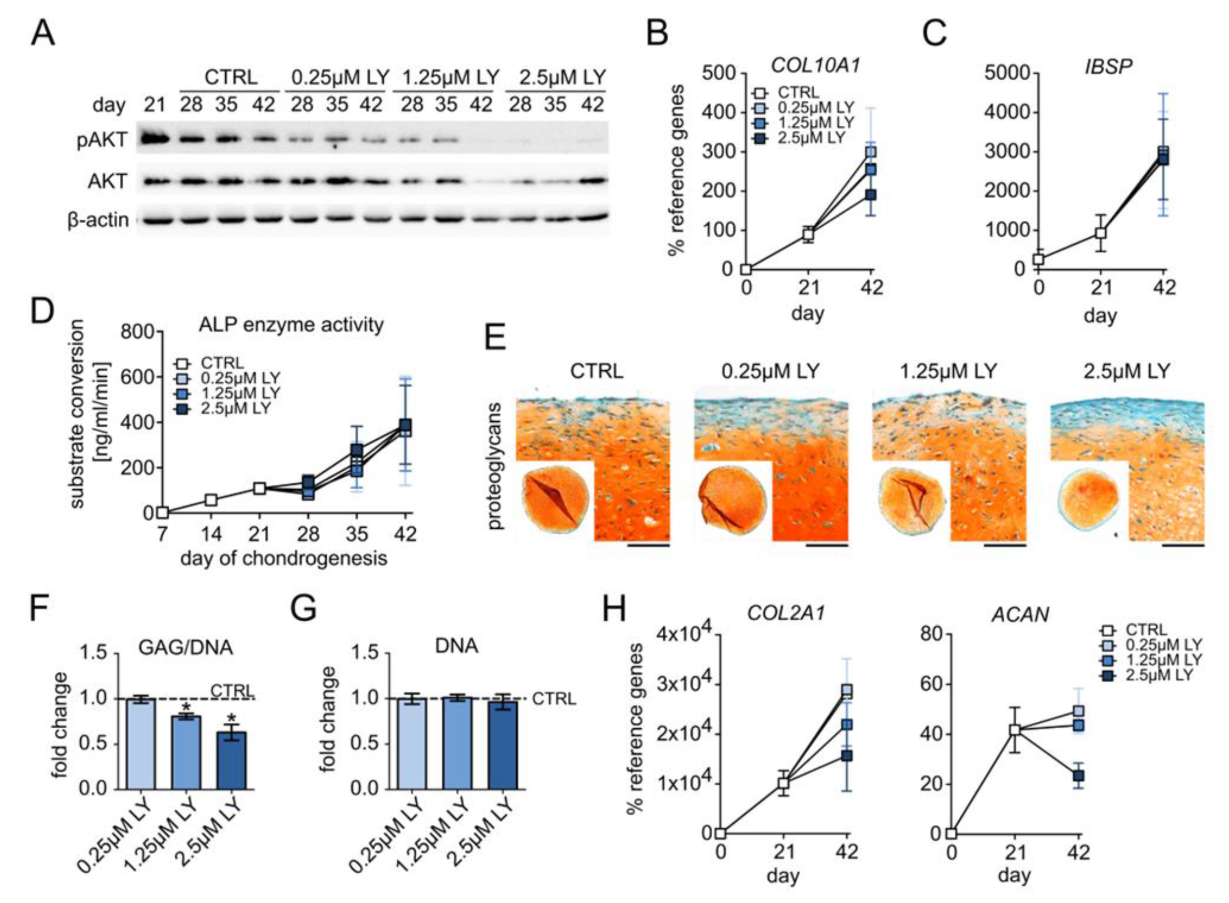 Cells 11 02965 g004 Cells 11 02965 g004