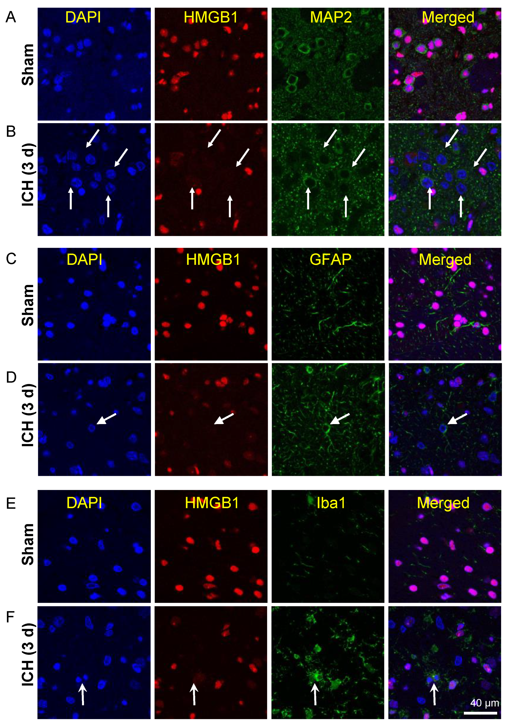 Cells 11 02970 g002 Cells 11 02970 g002