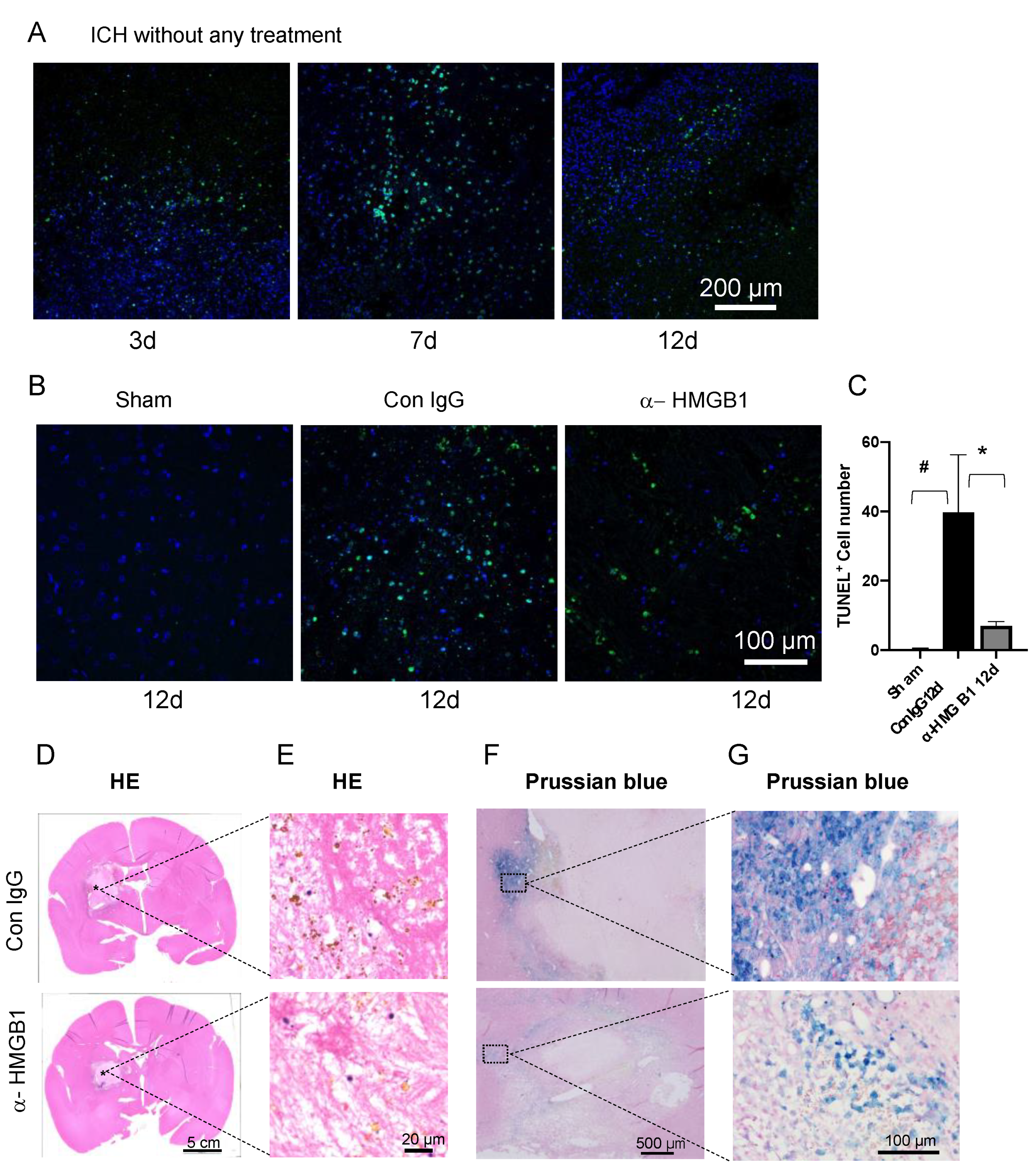 Cells 11 02970 g004 Cells 11 02970 g004