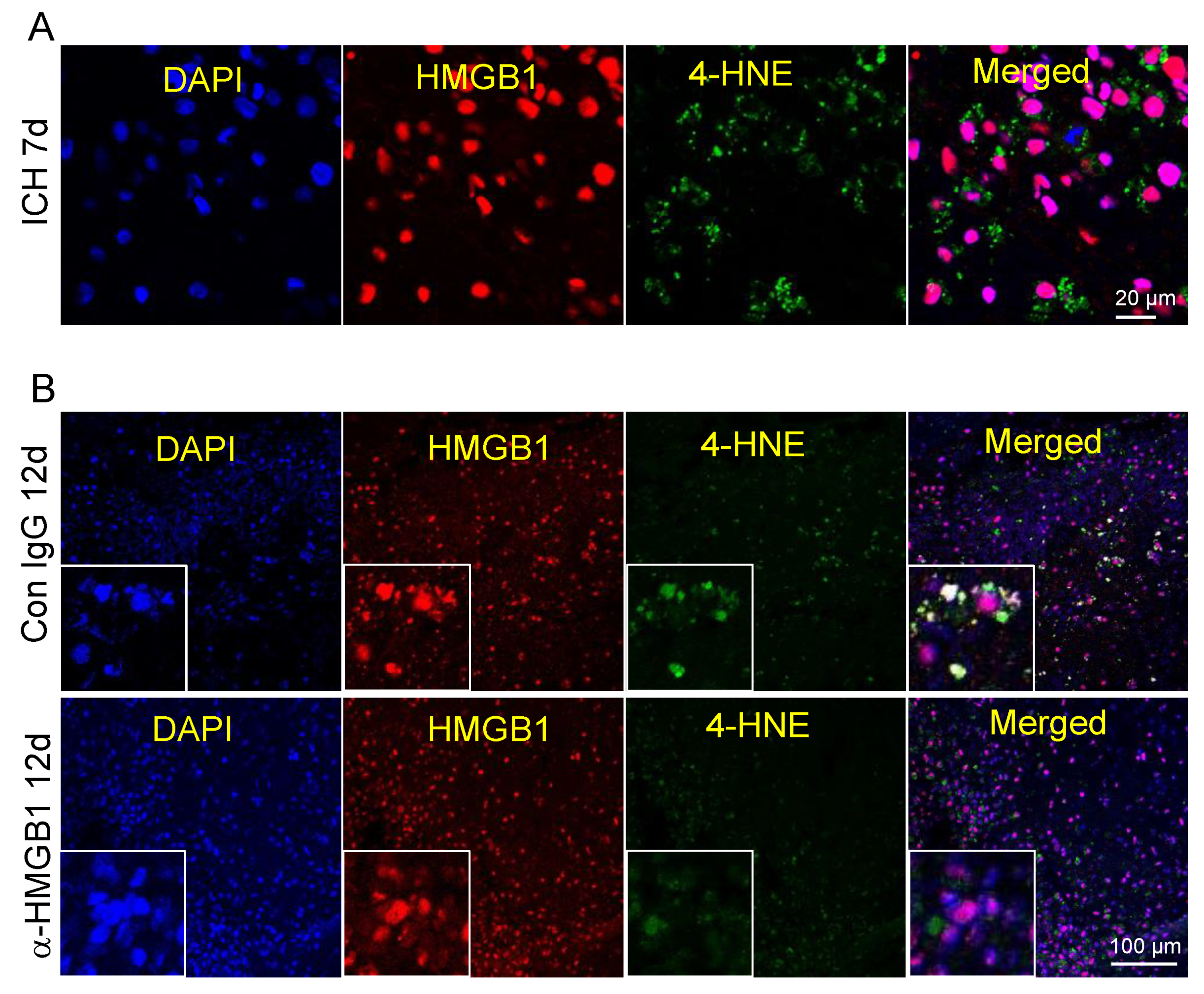 Cells 11 02970 g006 Cells 11 02970 g006