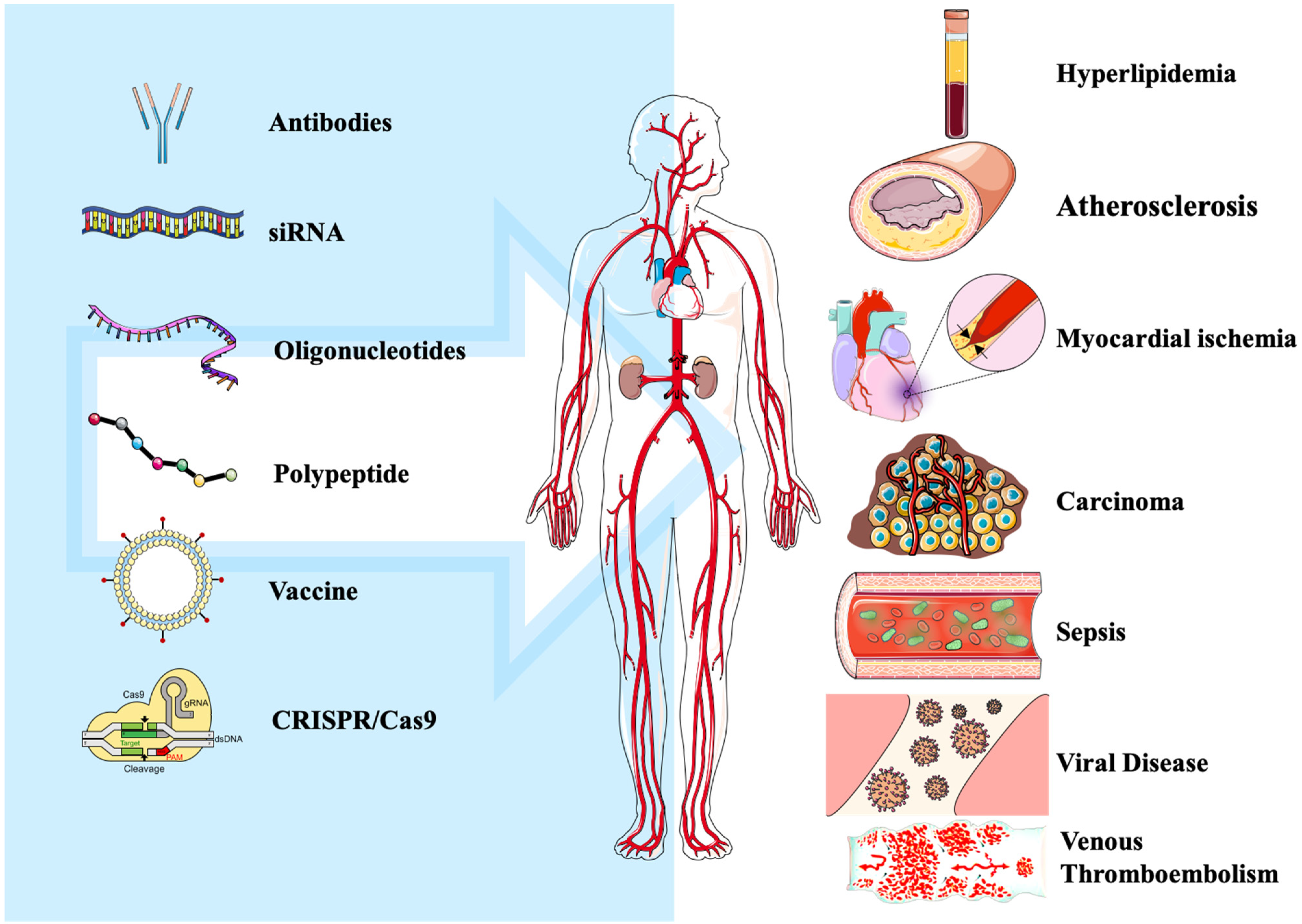 Cells 11 02972 g002 Cells 11 02972 g002