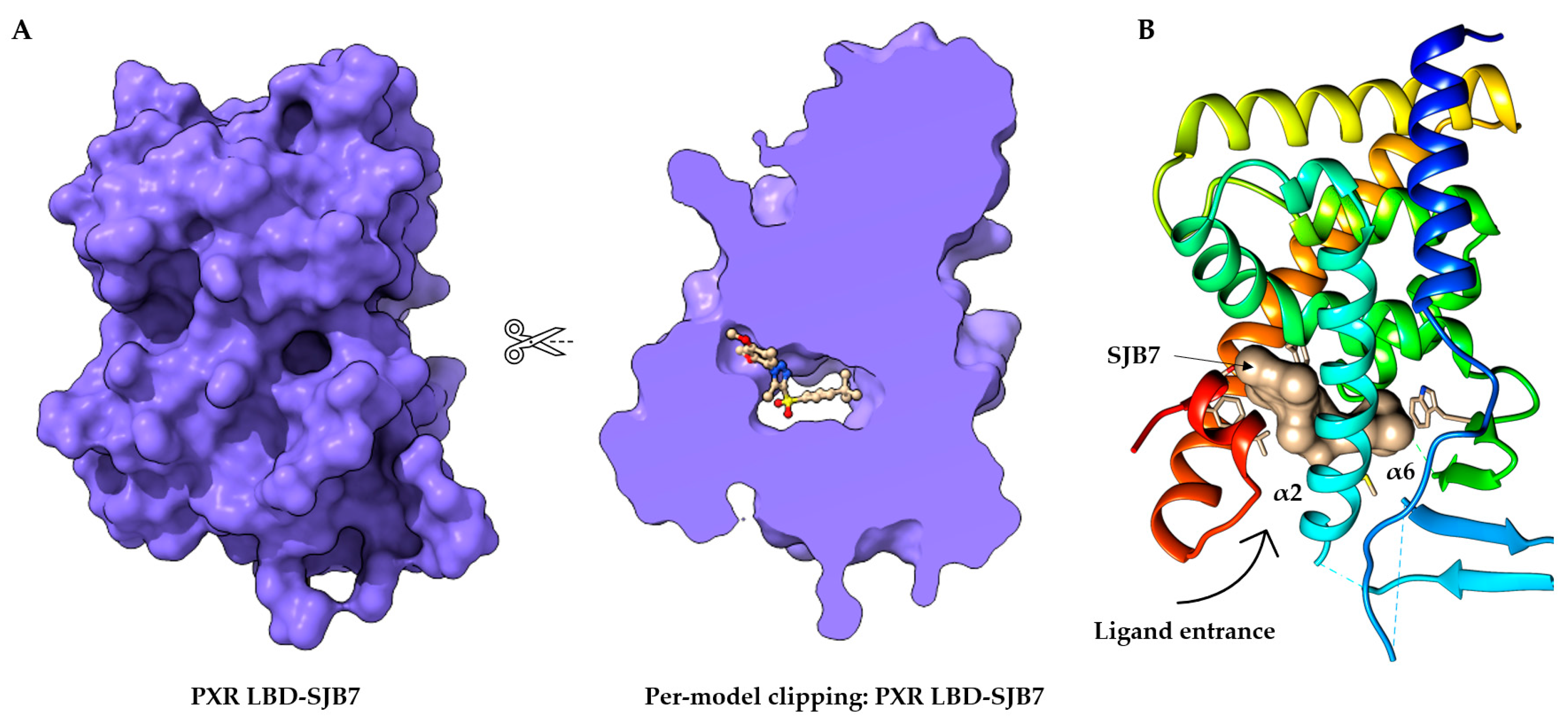 Cells 11 02974 g002 Cells 11 02974 g002