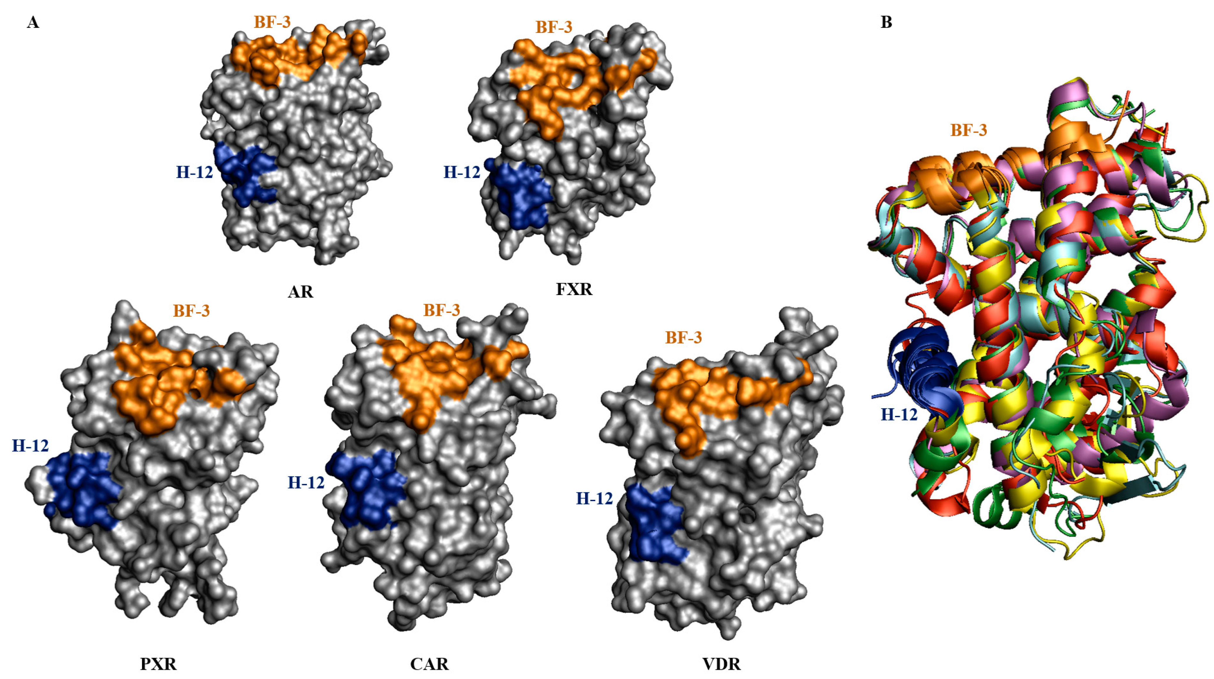 Cells 11 02974 g006 Cells 11 02974 g006