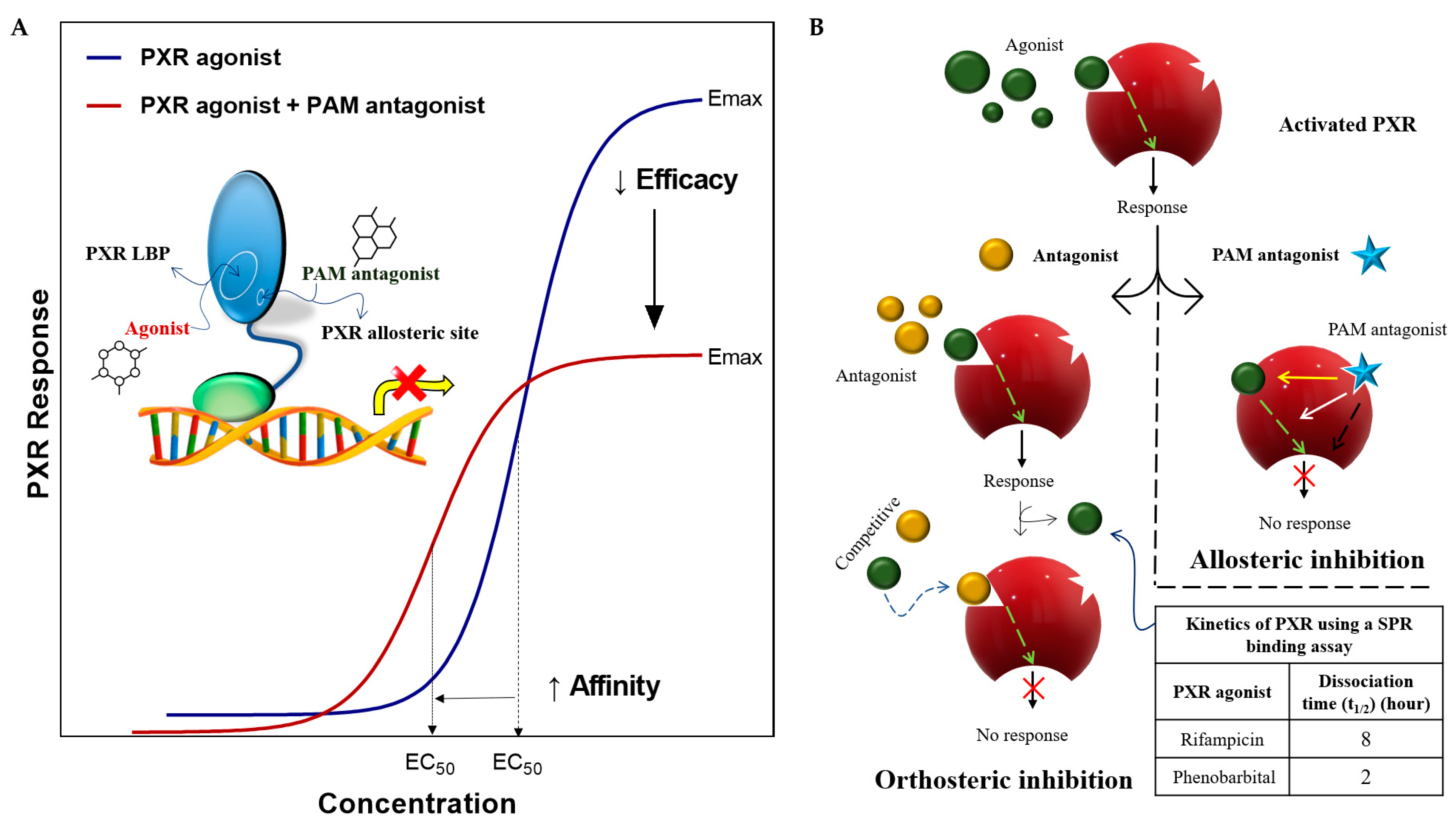 Cells 11 02974 g009 Cells 11 02974 g009