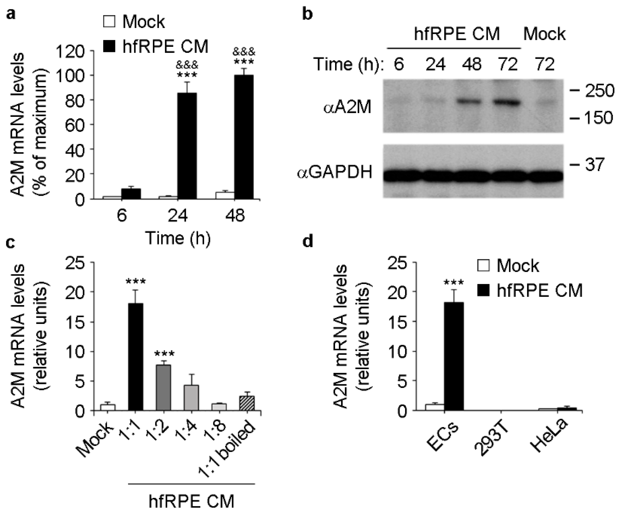 Cells 11 02975 g002 Cells 11 02975 g002