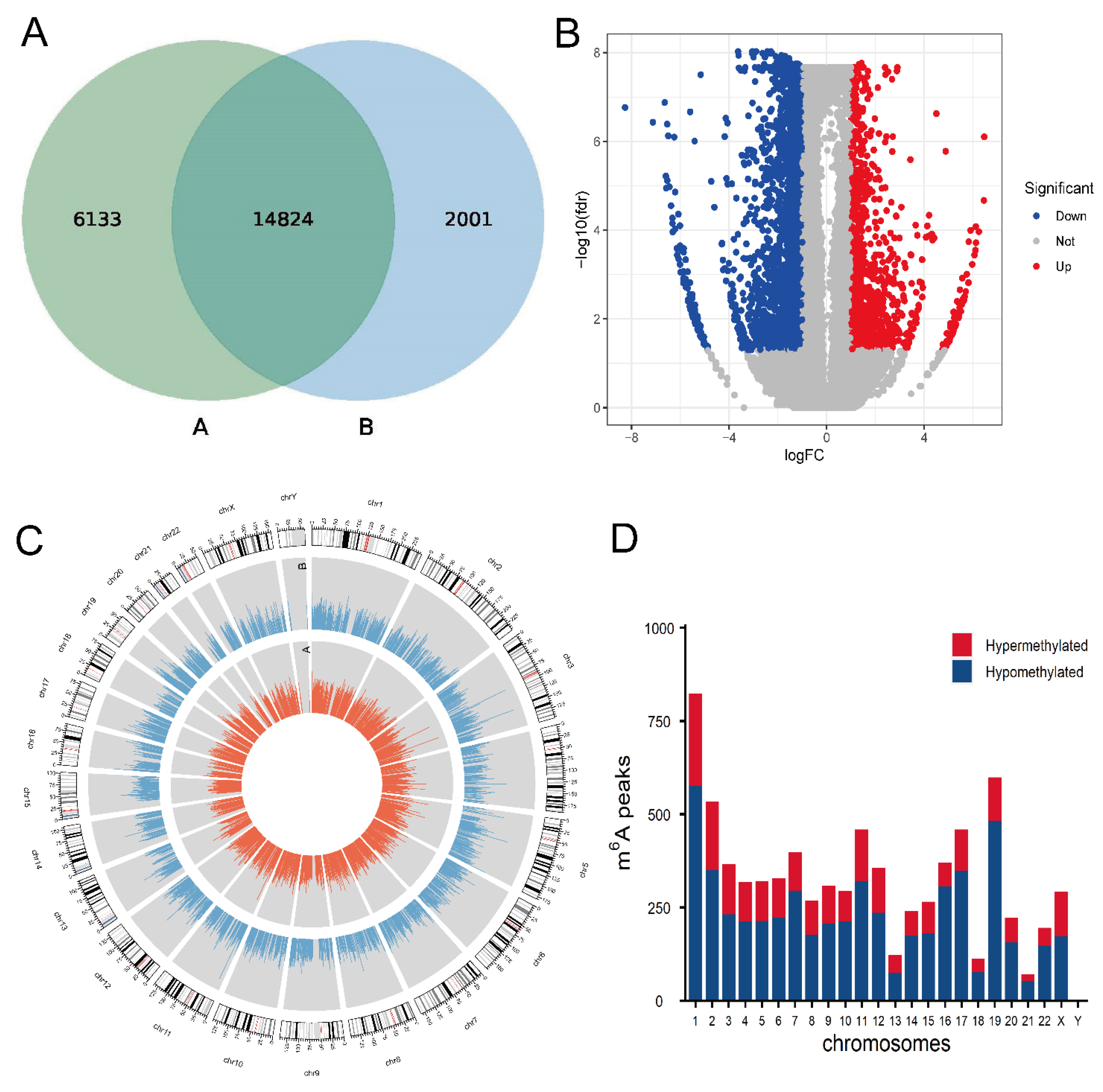 Cells 11 02980 g001 Cells 11 02980 g001