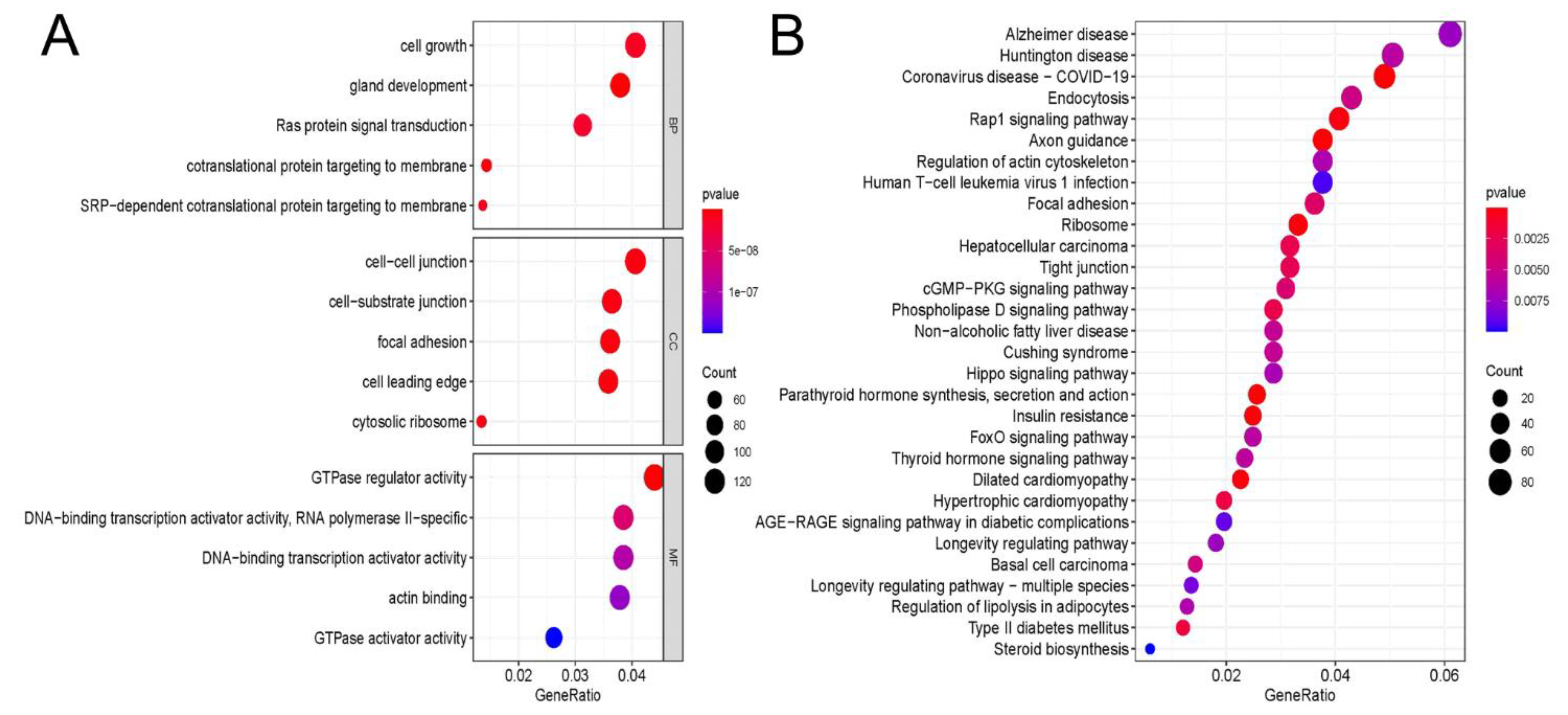 Cells 11 02980 g003 Cells 11 02980 g003