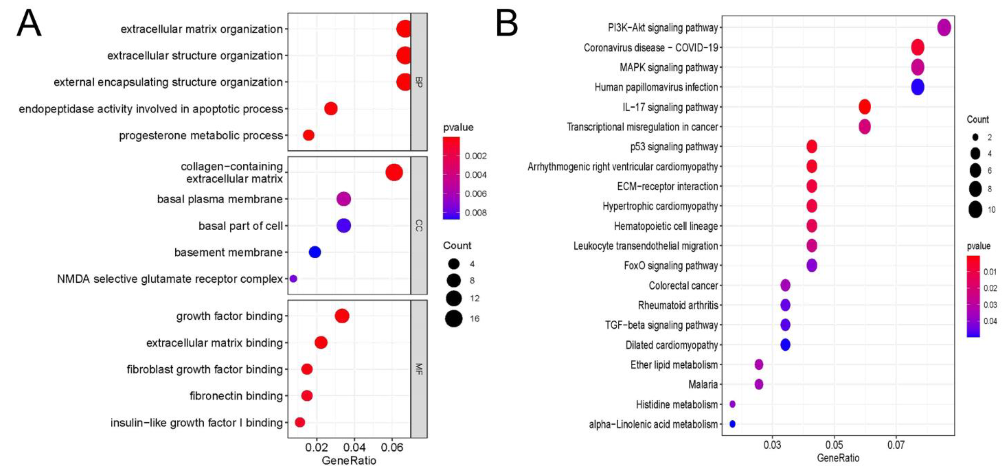 Cells 11 02980 g005 Cells 11 02980 g005