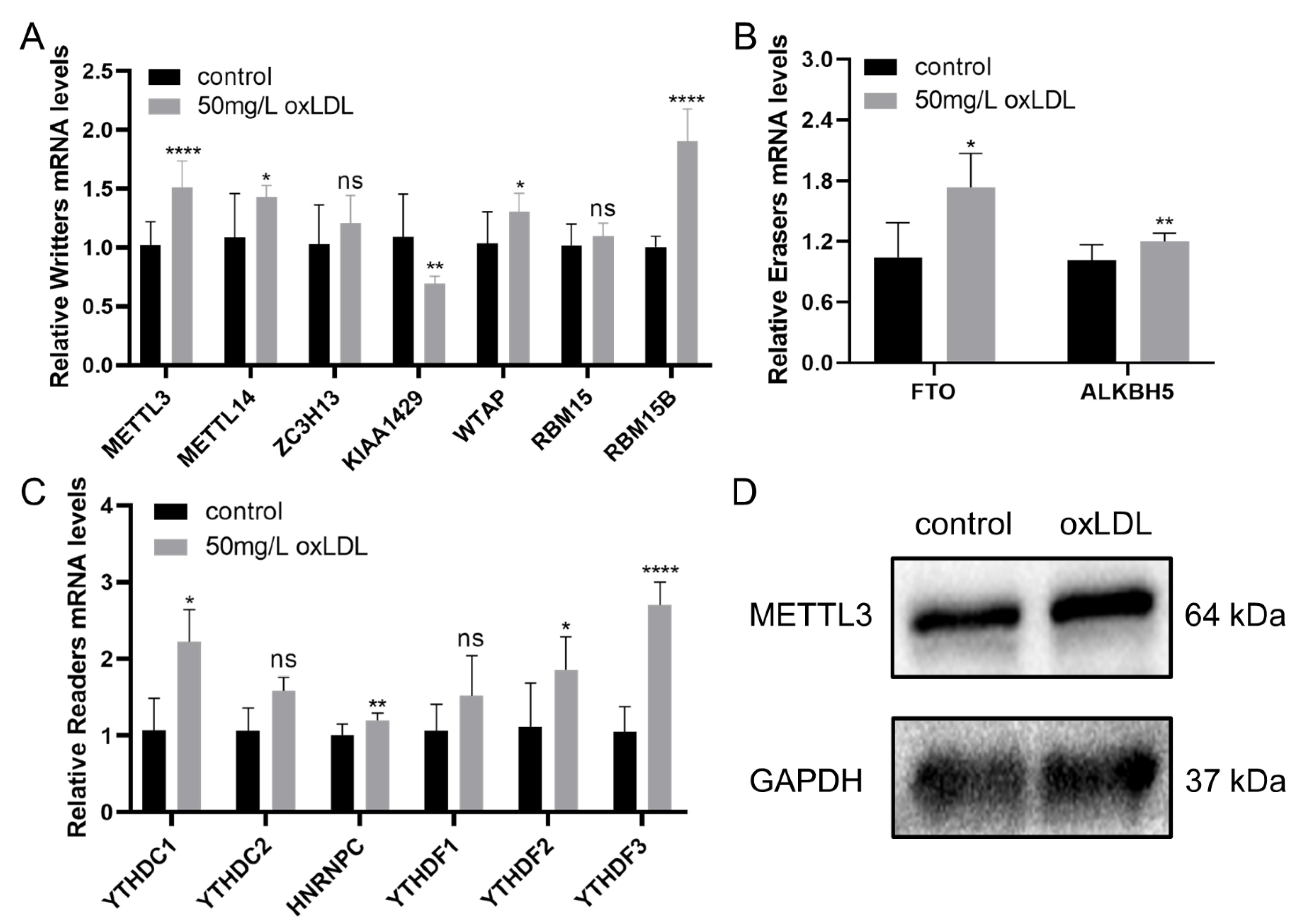 Cells 11 02980 g007 Cells 11 02980 g007