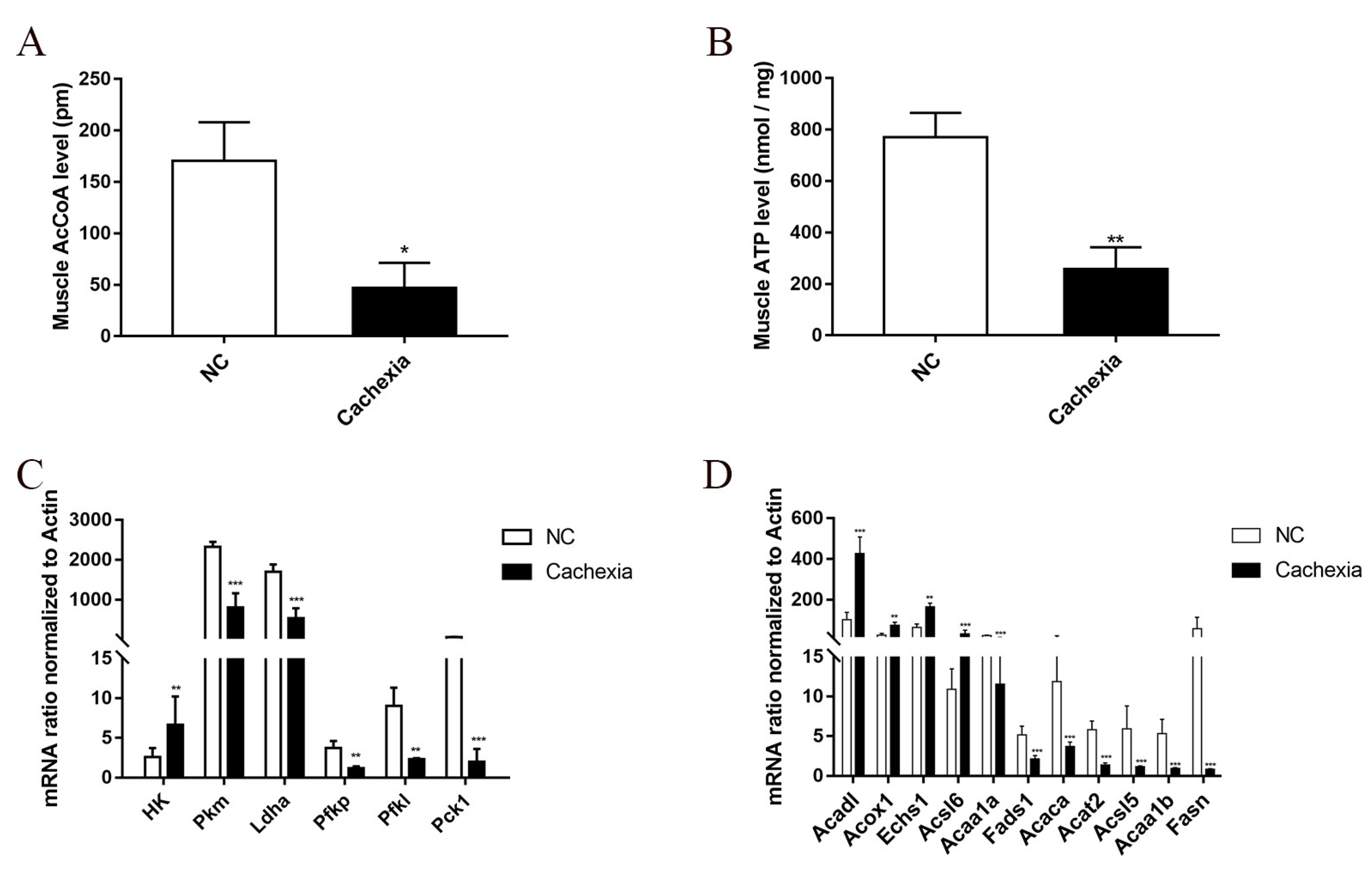 Cells 11 02987 g001 Cells 11 02987 g001