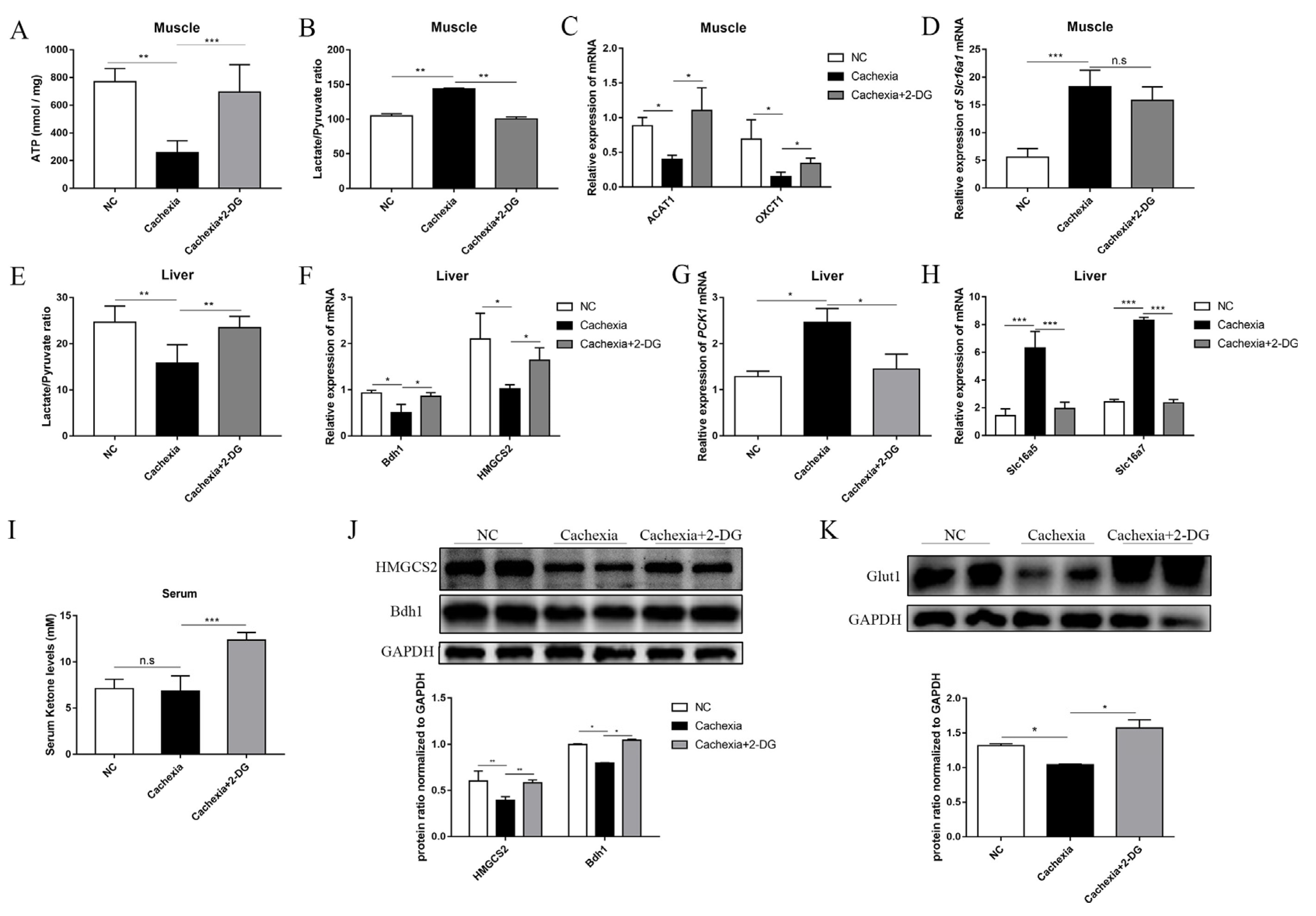 Cells 11 02987 g004 Cells 11 02987 g004
