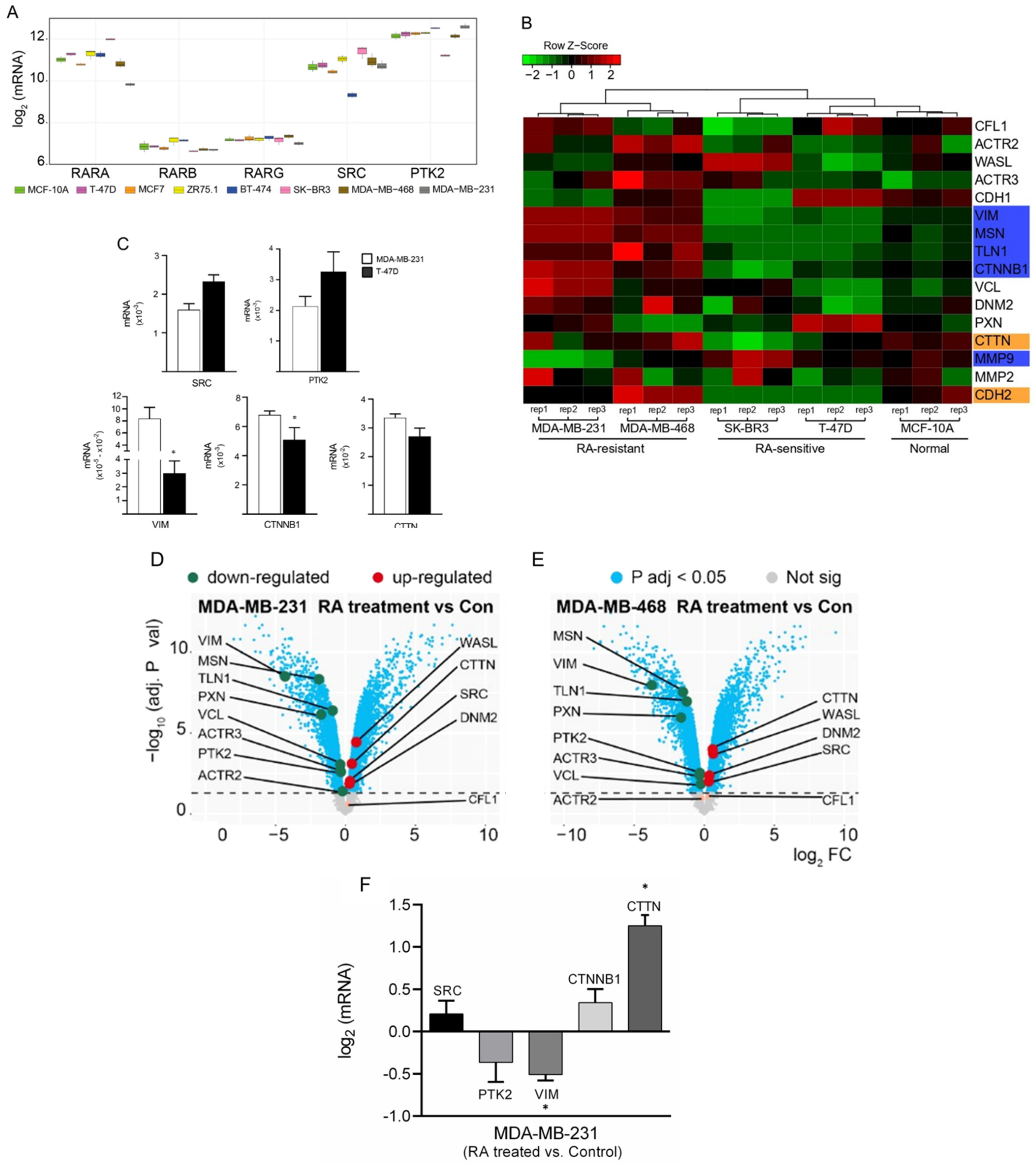 Cells 11 02988 g001 Cells 11 02988 g001