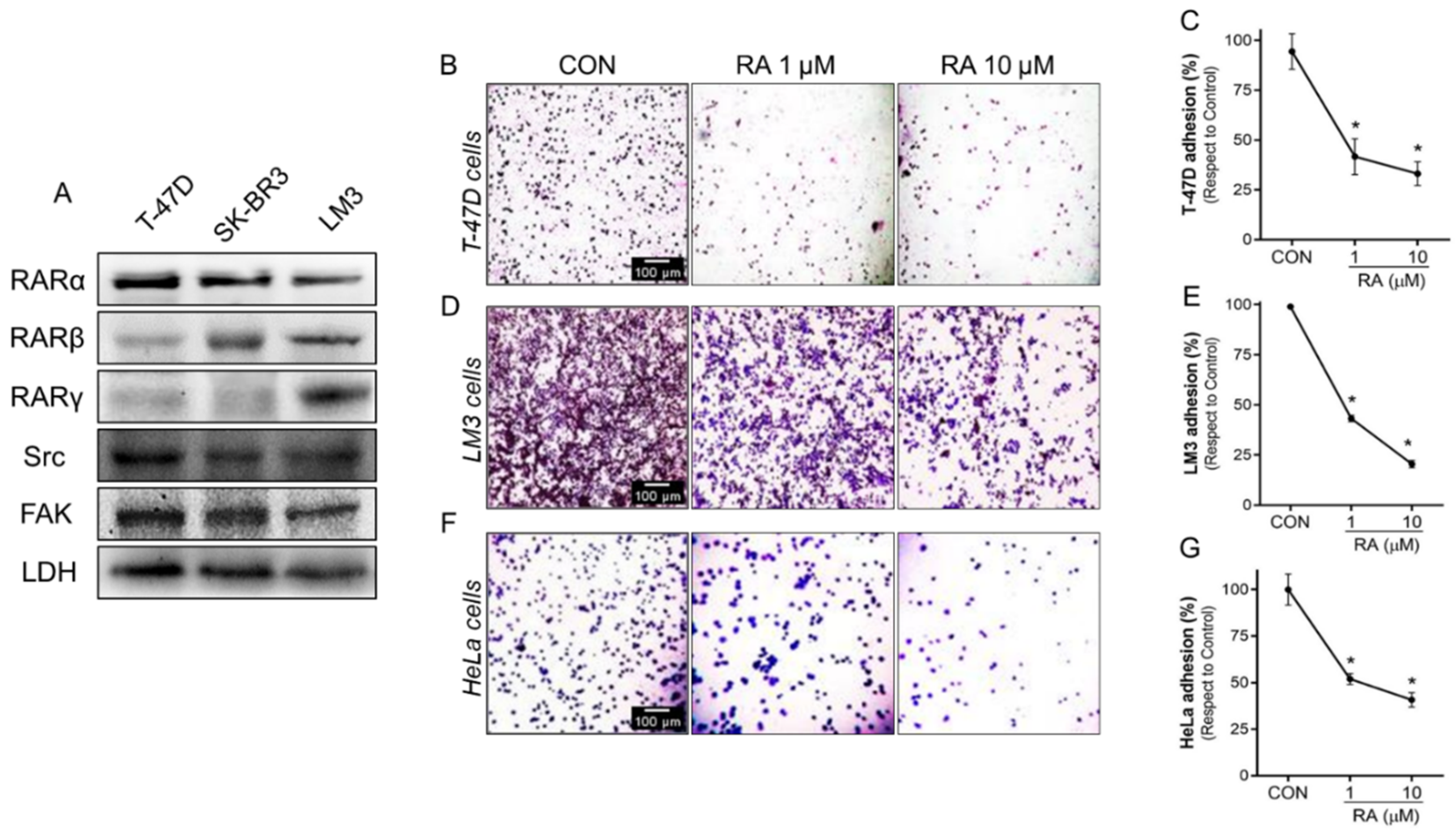 Cells 11 02988 g002a Cells 11 02988 g002a