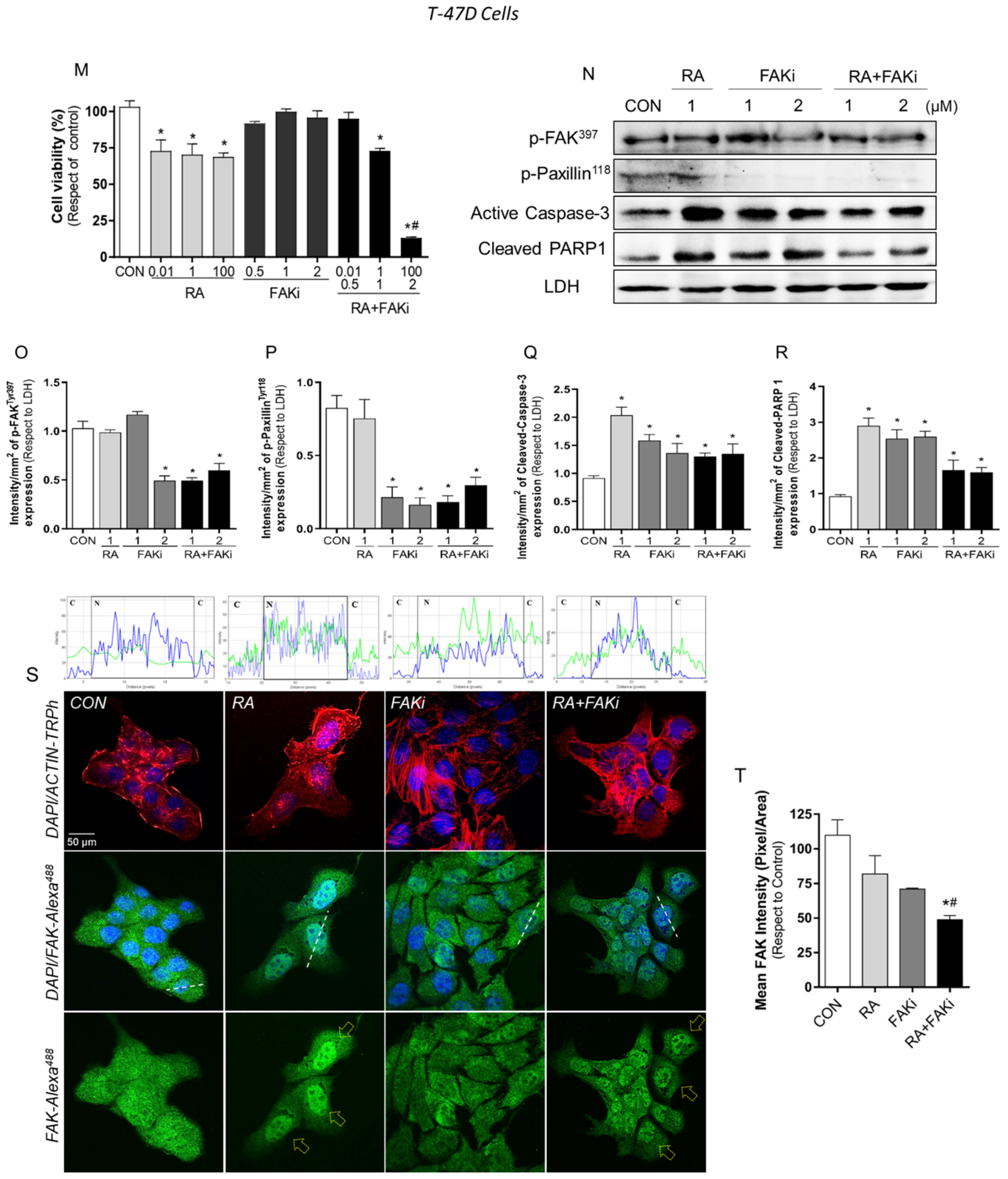 Cells 11 02988 g003b Cells 11 02988 g003b