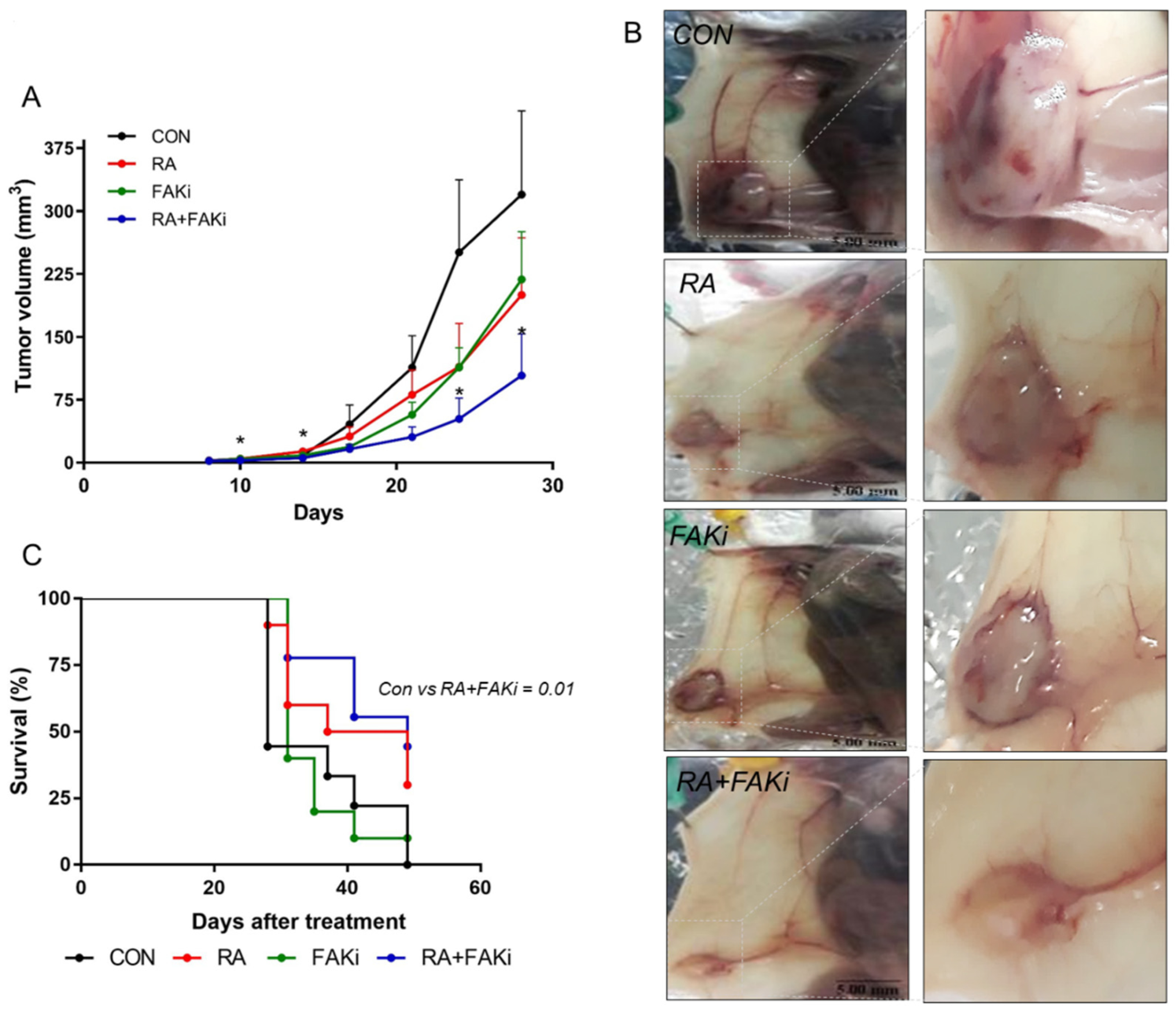 Cells 11 02988 g005a Cells 11 02988 g005a