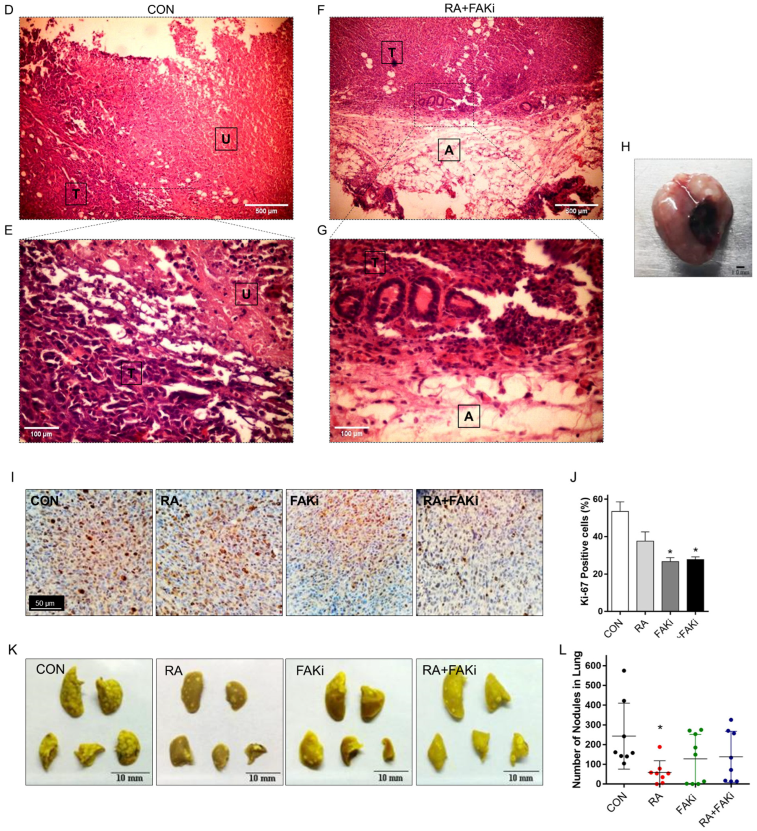 Cells 11 02988 g005b Cells 11 02988 g005b