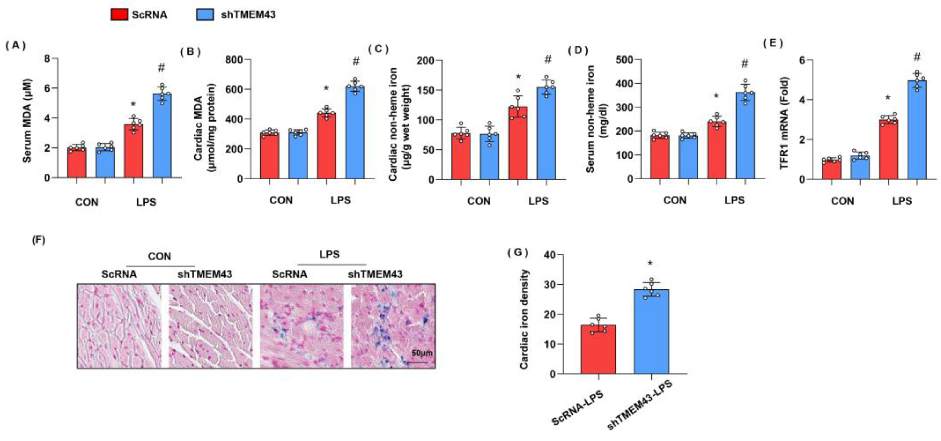 Cells 11 02992 g004 Cells 11 02992 g004