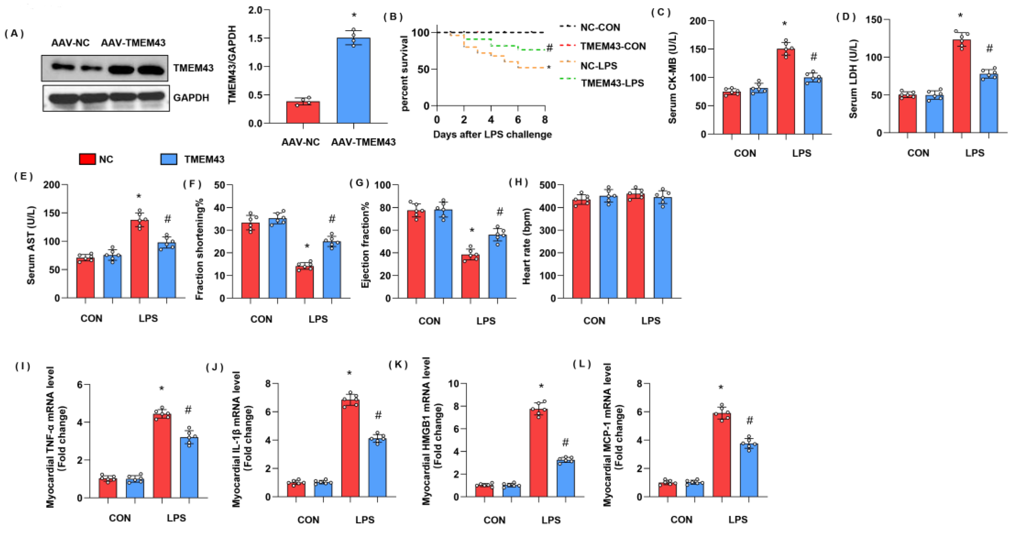 Cells 11 02992 g005 Cells 11 02992 g005