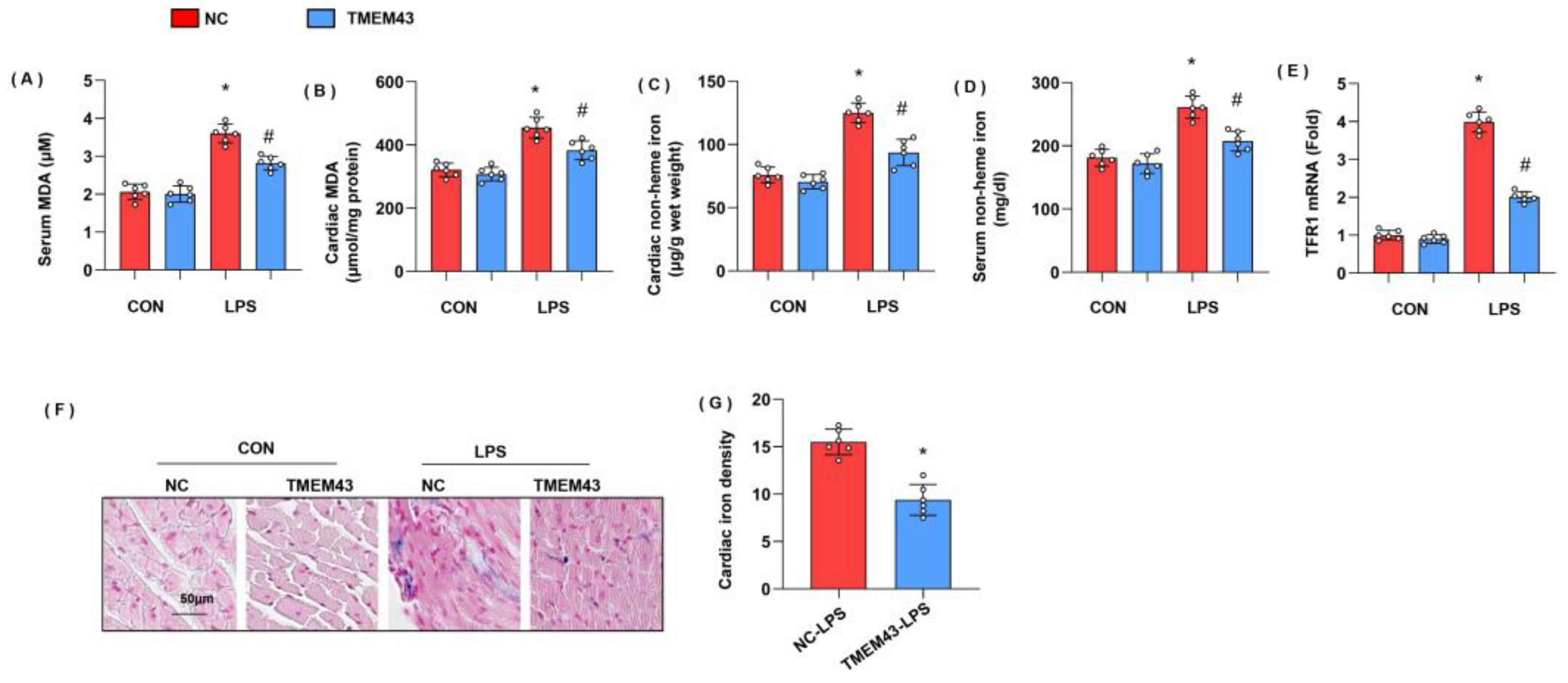 Cells 11 02992 g006 Cells 11 02992 g006