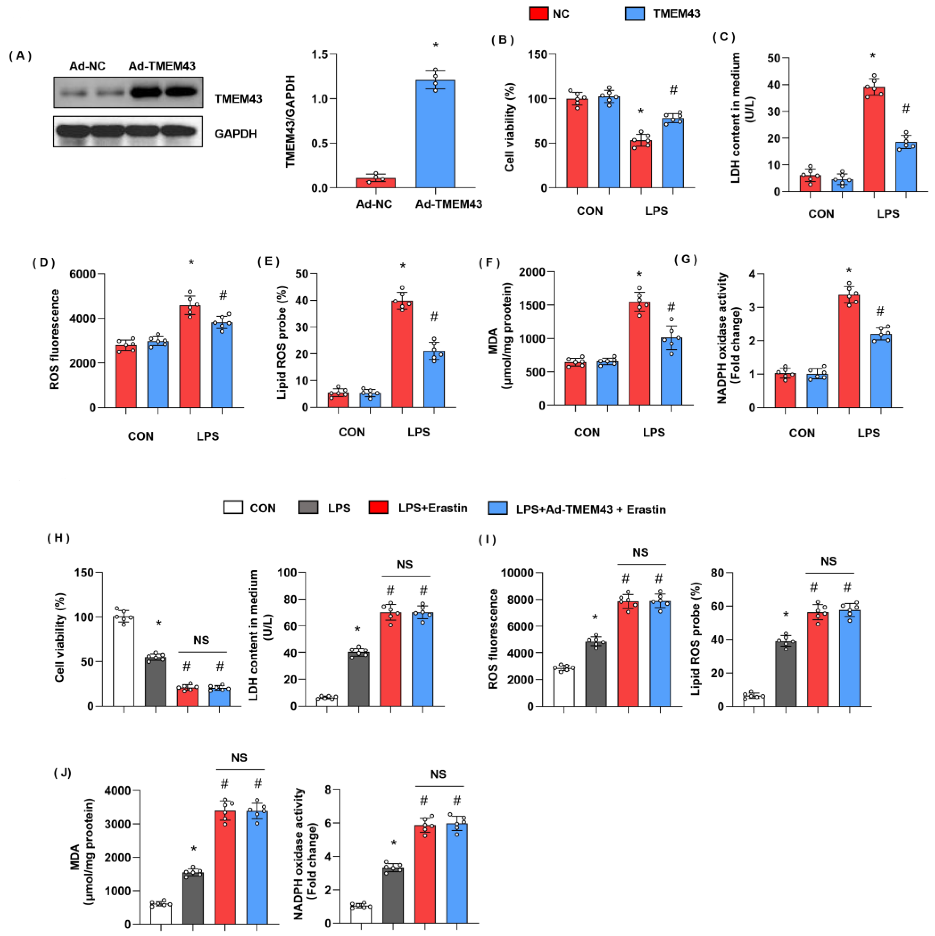 Cells 11 02992 g007 Cells 11 02992 g007