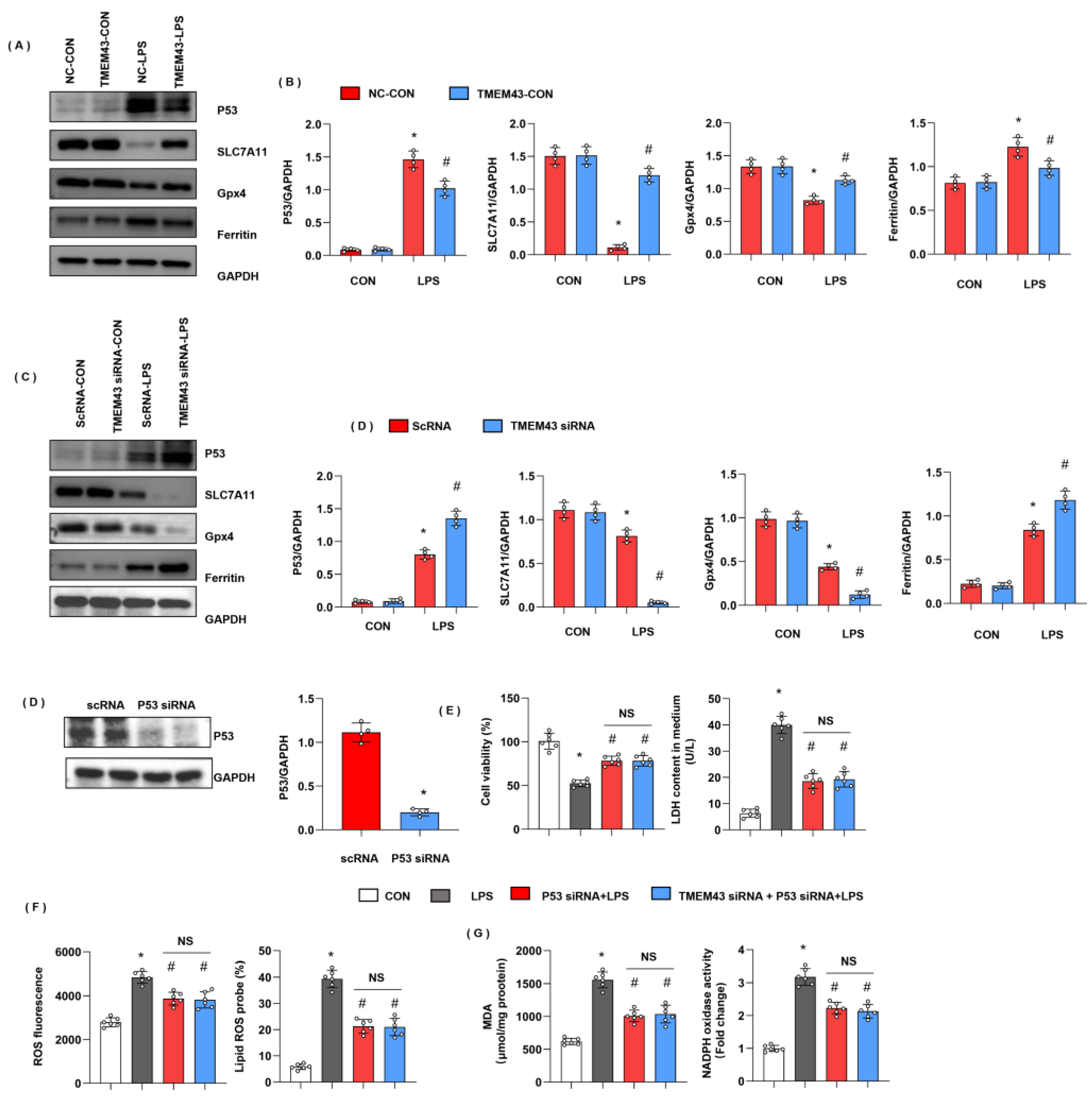 Cells 11 02992 g009 Cells 11 02992 g009