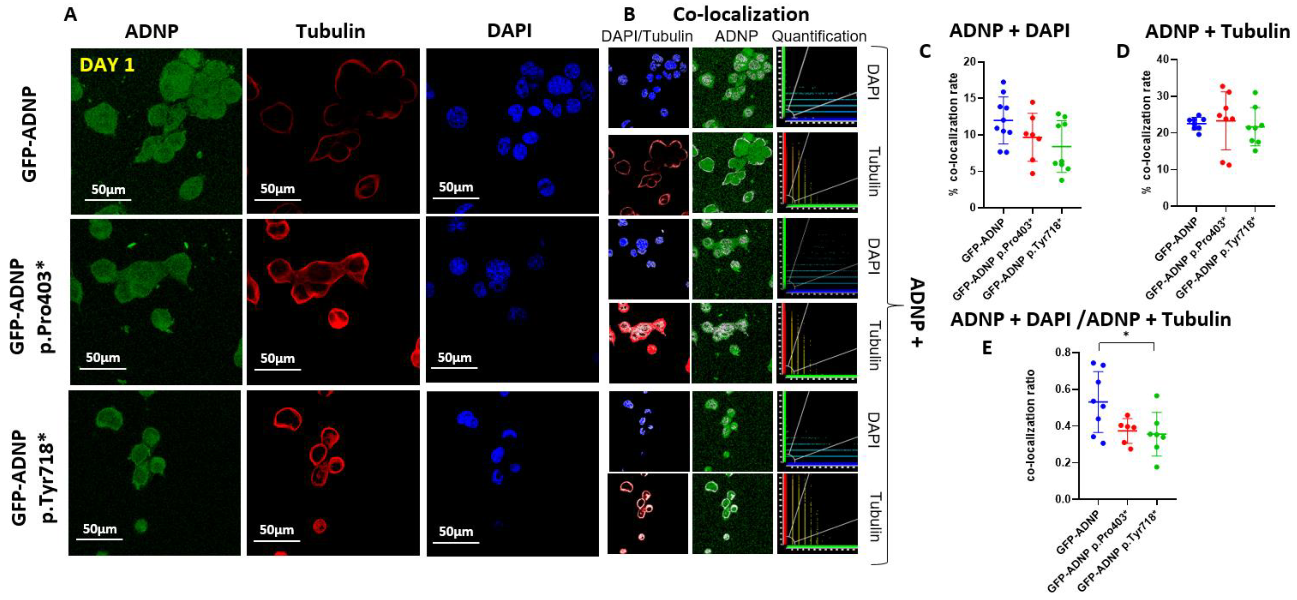 Cells 11 02994 g003 Cells 11 02994 g003
