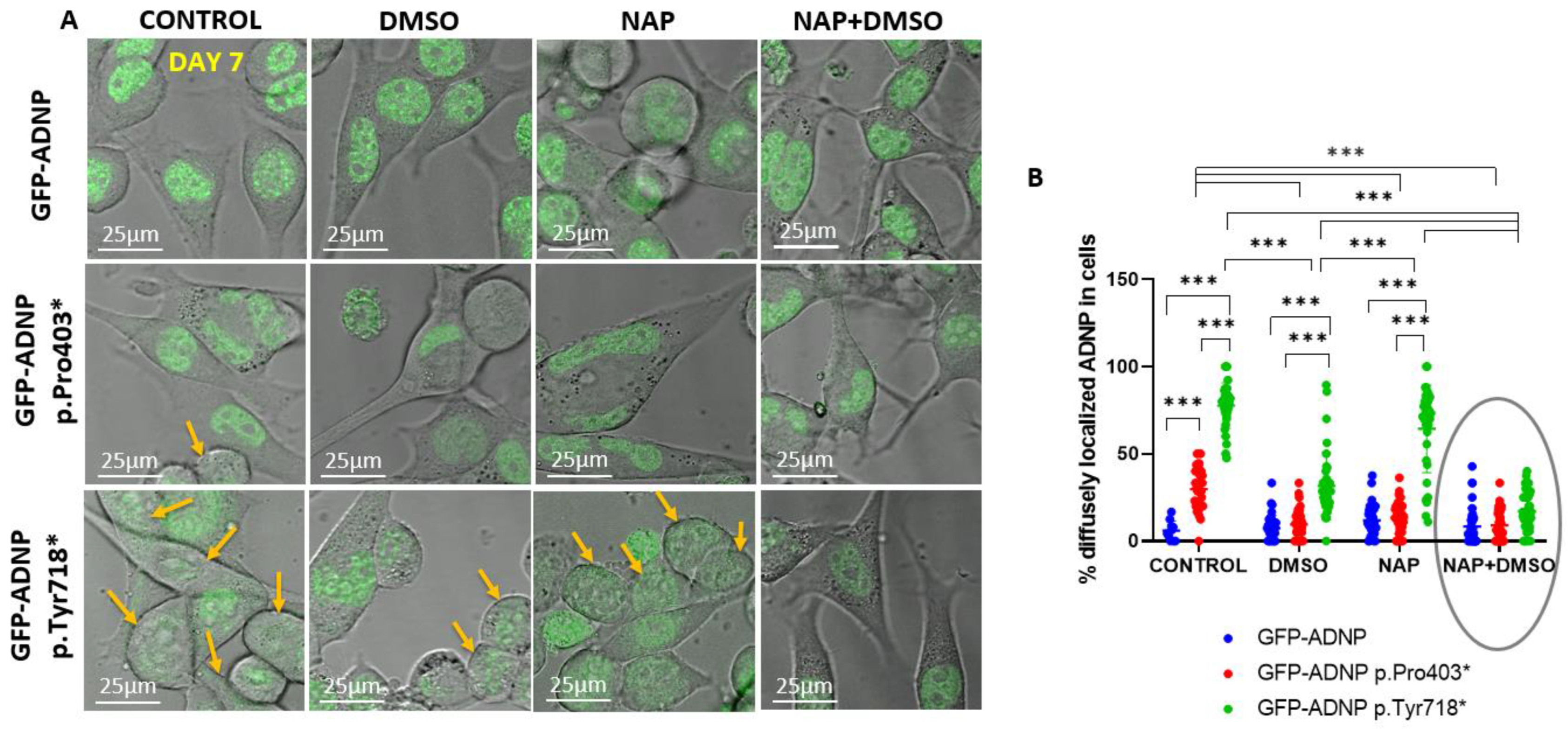 Cells 11 02994 g007 Cells 11 02994 g007
