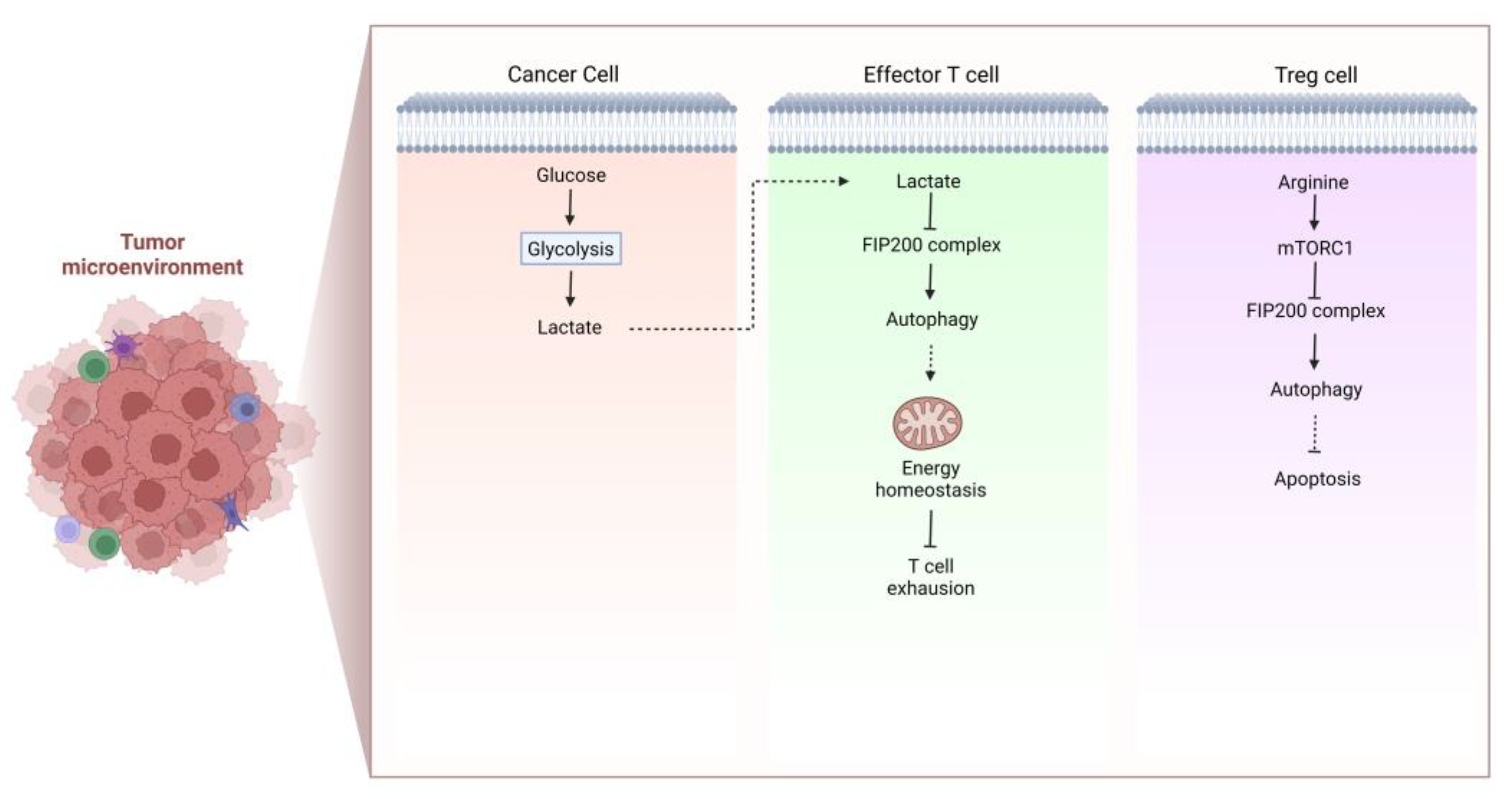 Cells 11 02996 g002 Cells 11 02996 g002