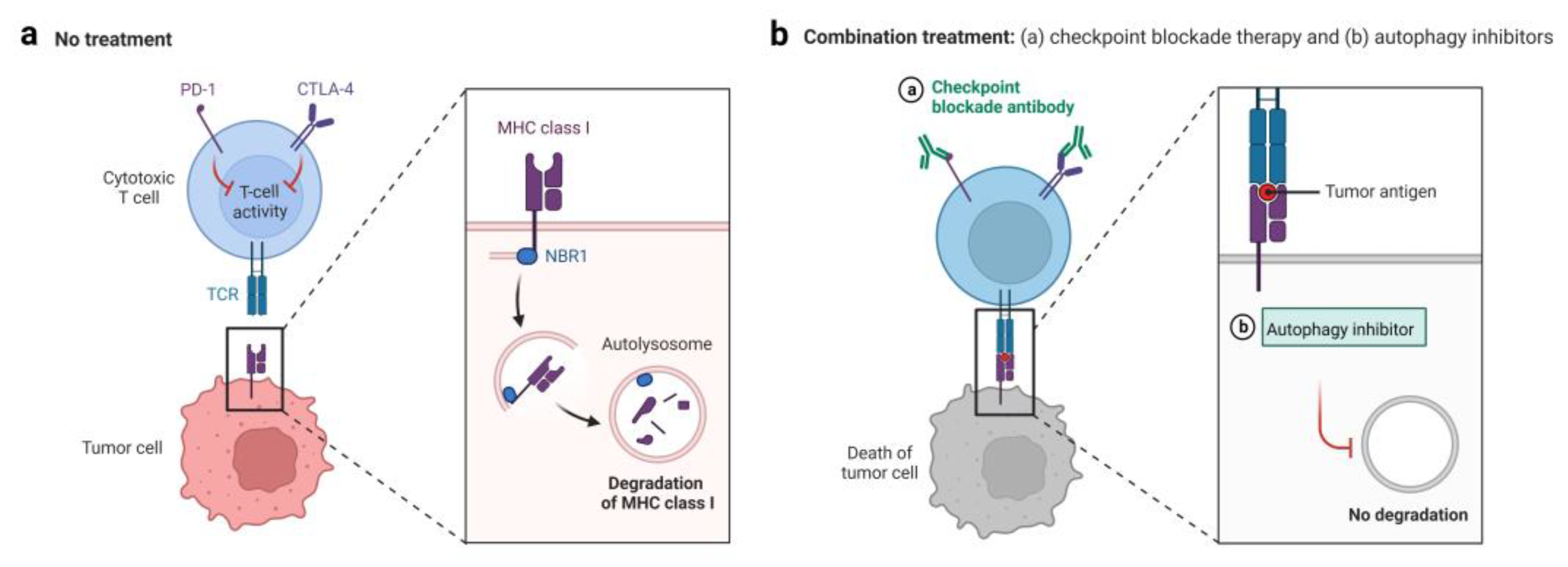 Cells 11 02996 g003 Cells 11 02996 g003