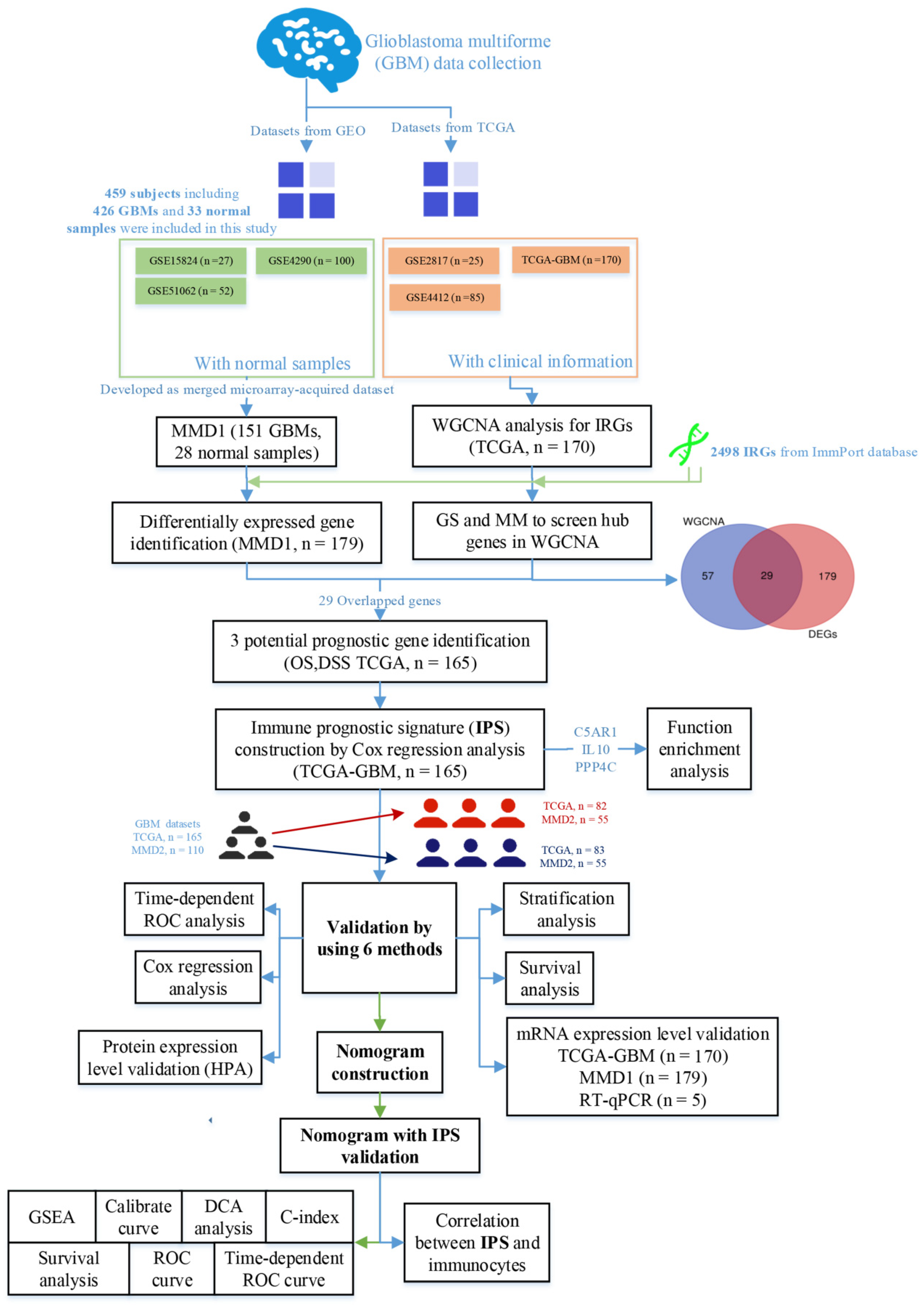 Cells 11 03000 g001 Cells 11 03000 g001