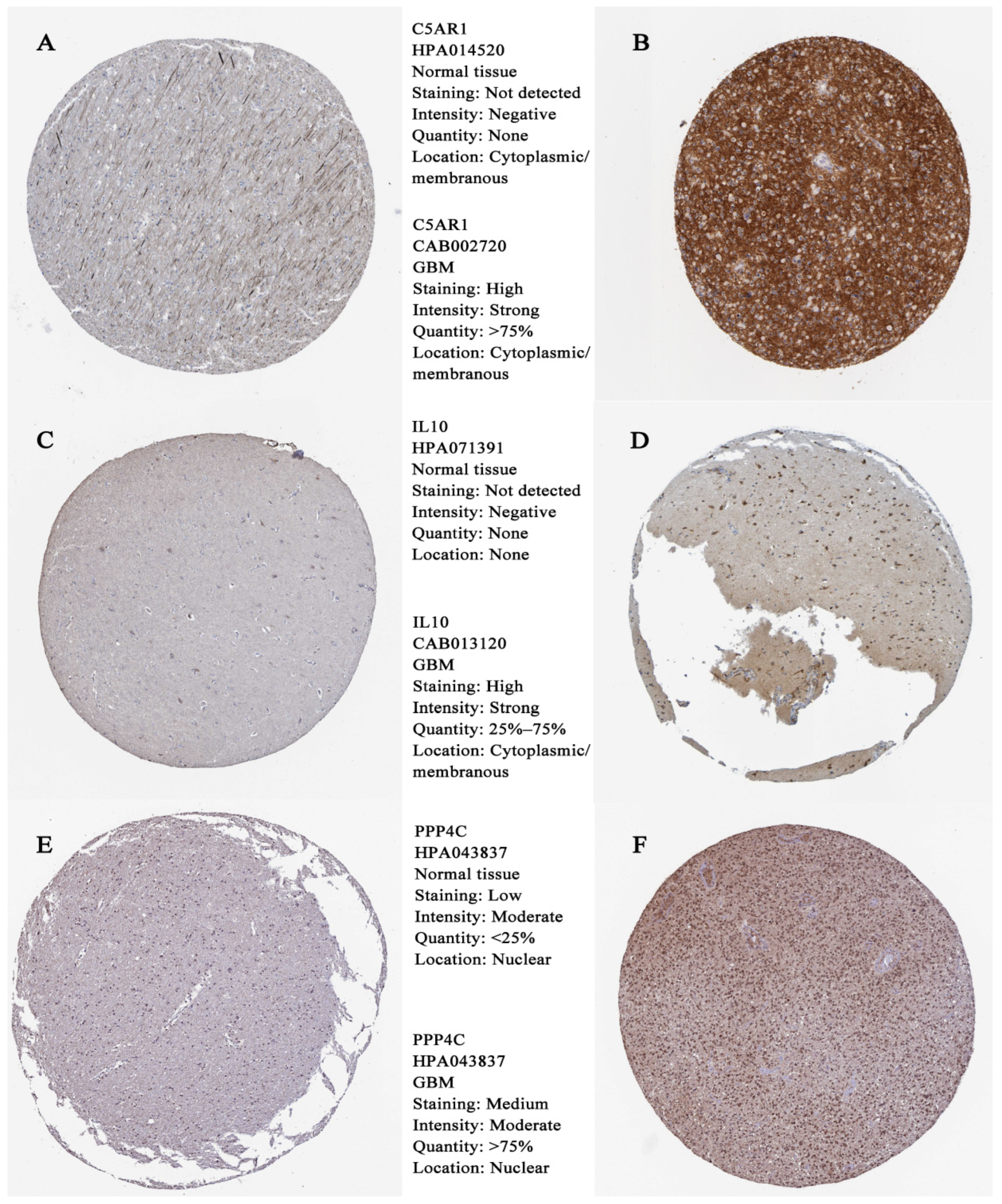 Cells 11 03000 g007 Cells 11 03000 g007