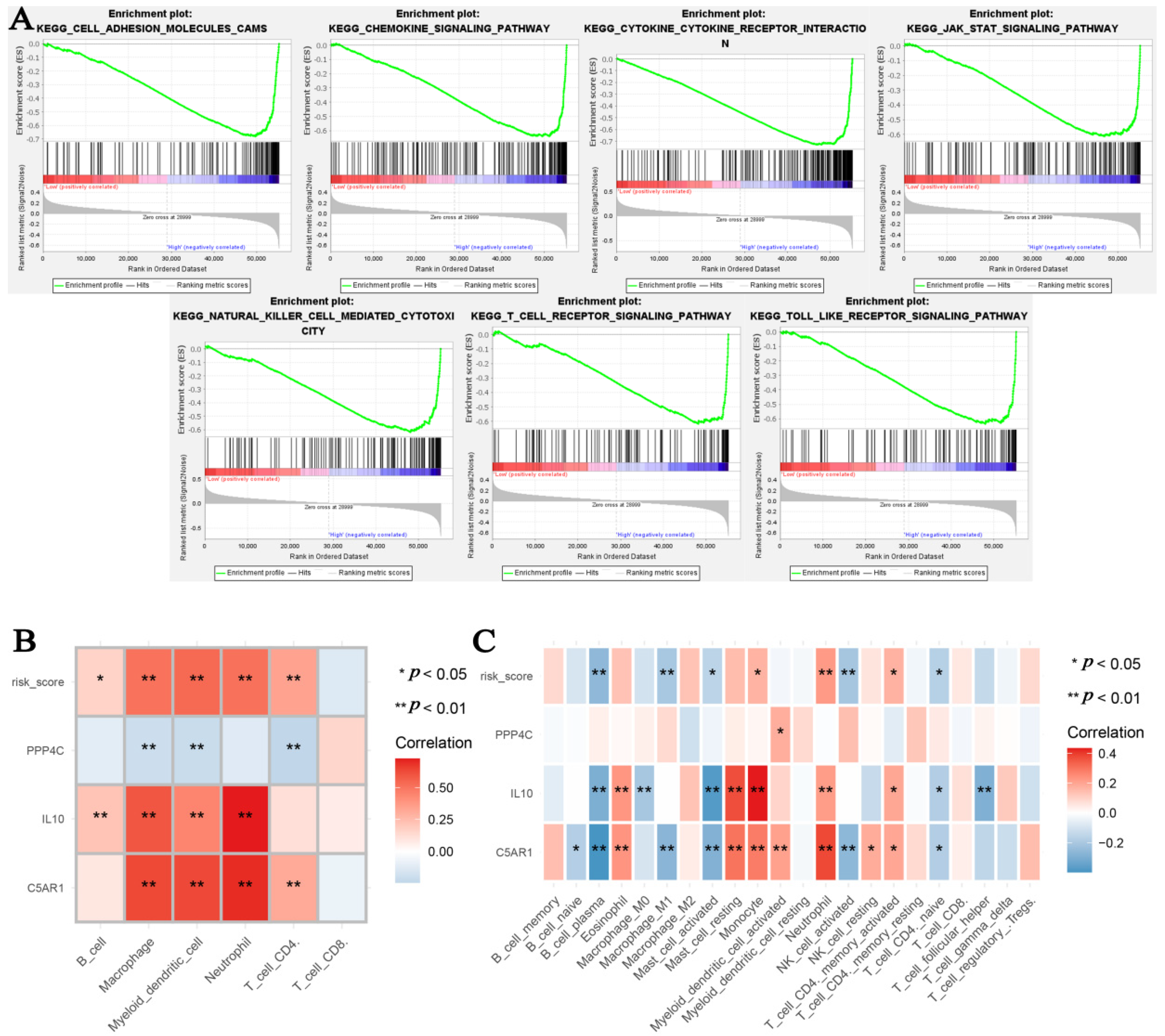 Cells 11 03000 g011 Cells 11 03000 g011