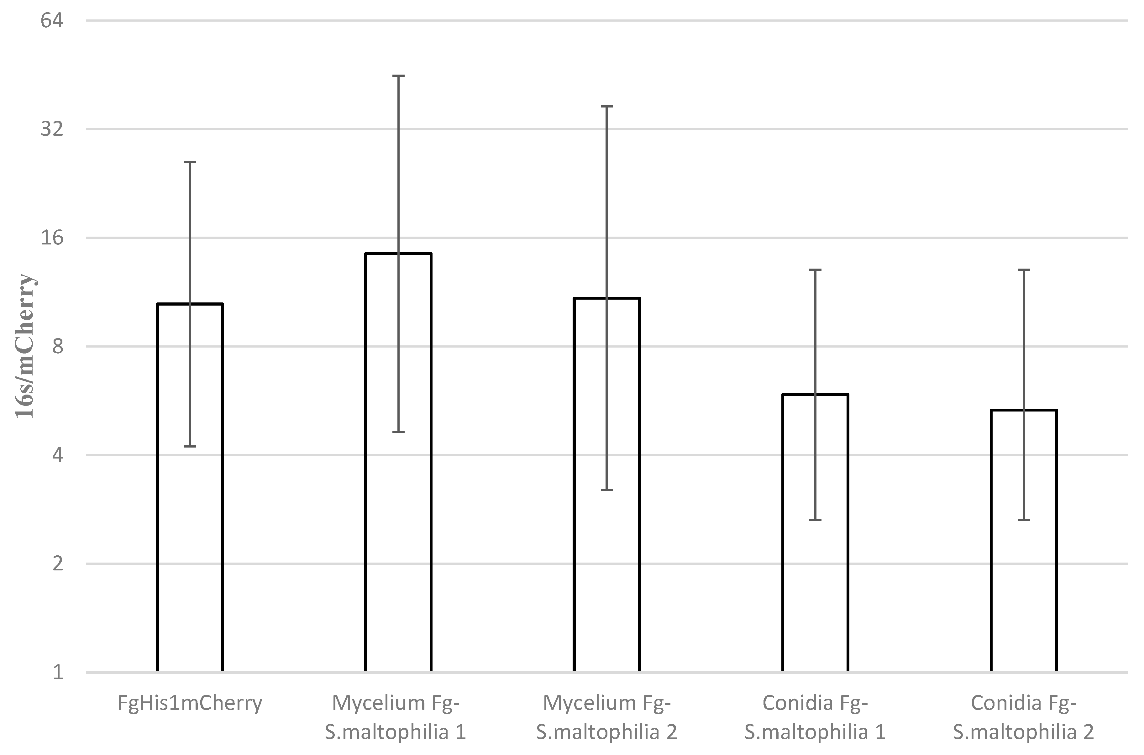 Cells 11 03004 g005 Cells 11 03004 g005