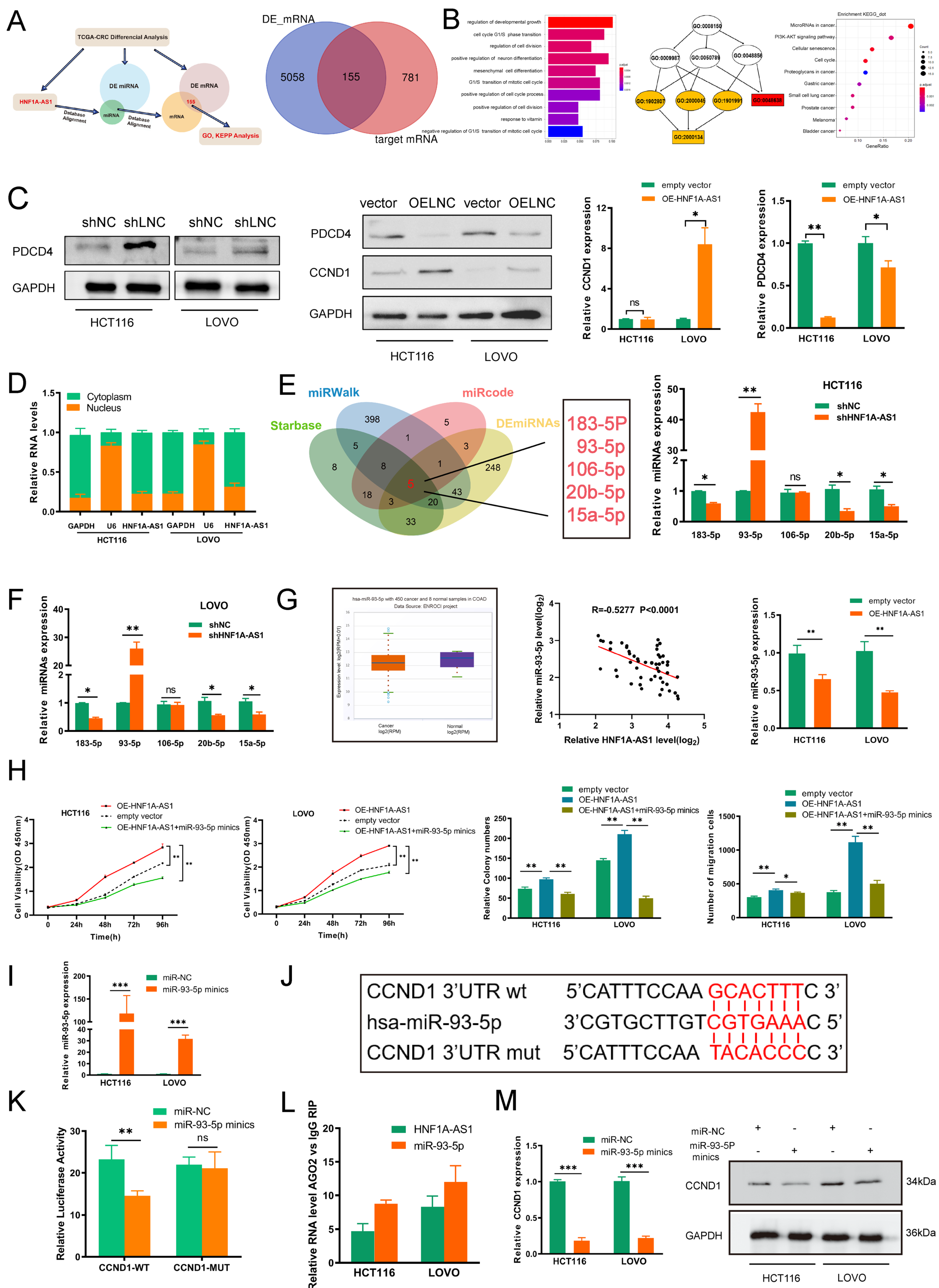 Cells 11 03008 g004 Cells 11 03008 g004