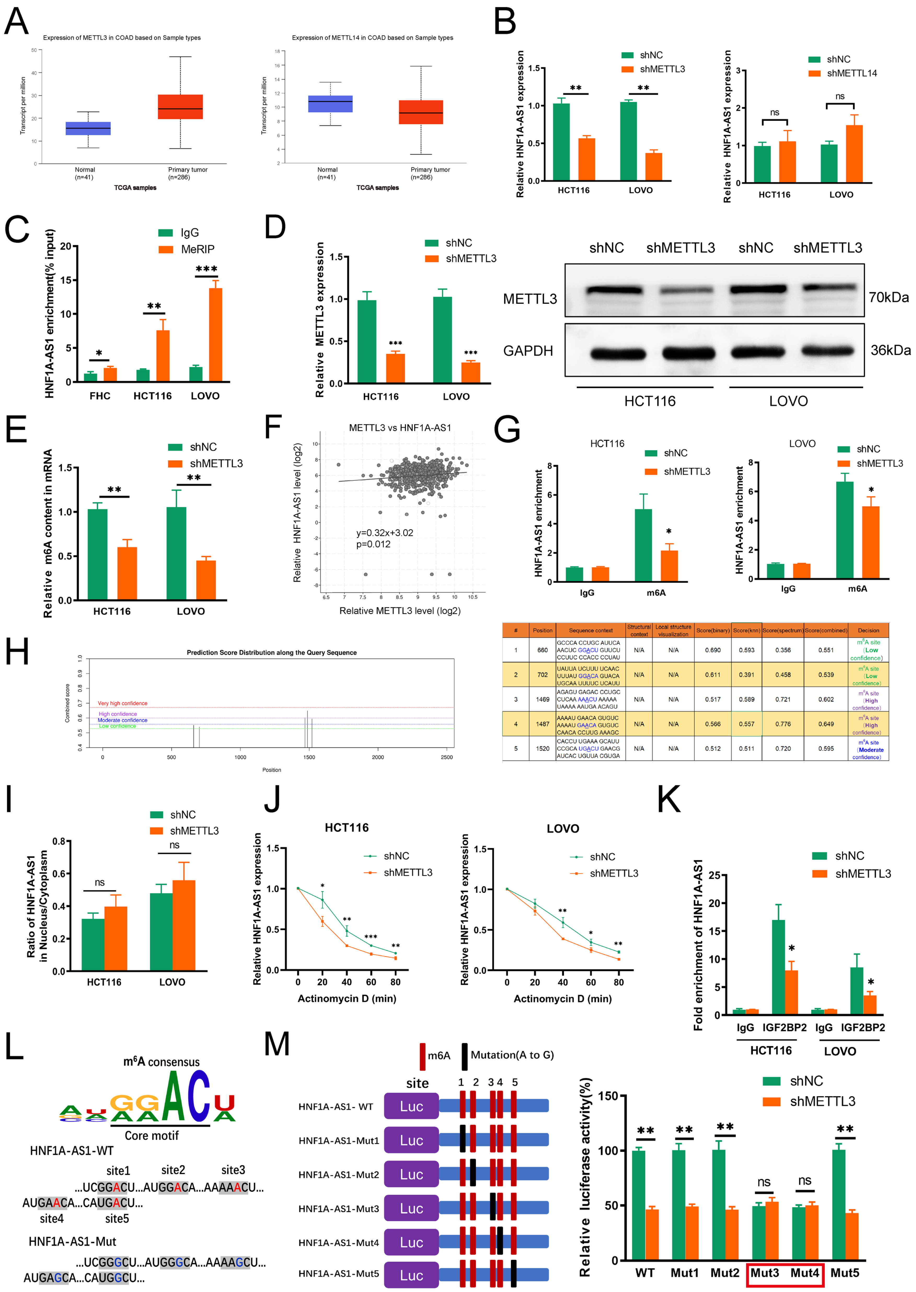 Cells 11 03008 g006 Cells 11 03008 g006