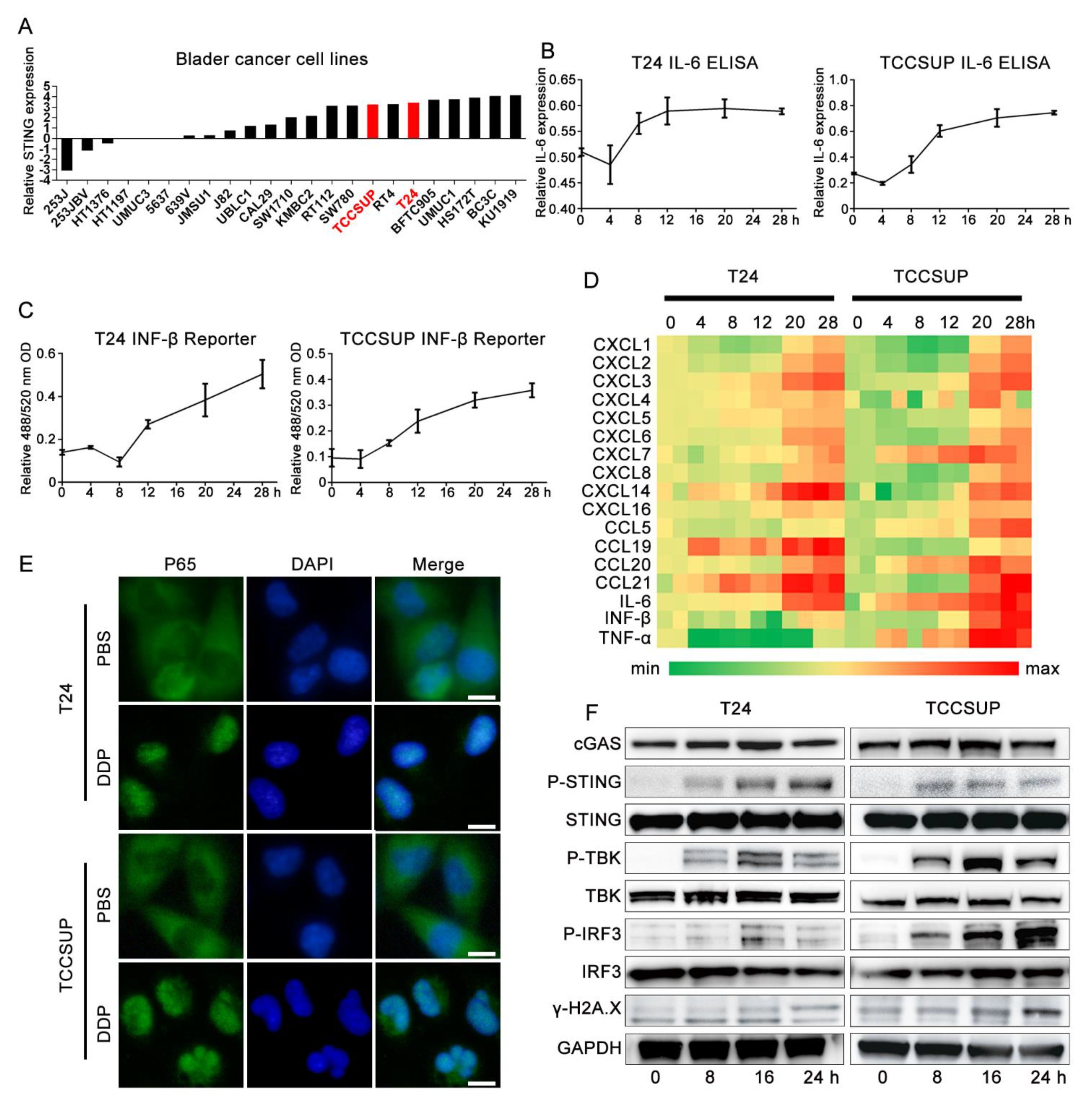 Cells 11 03011 g002 Cells 11 03011 g002