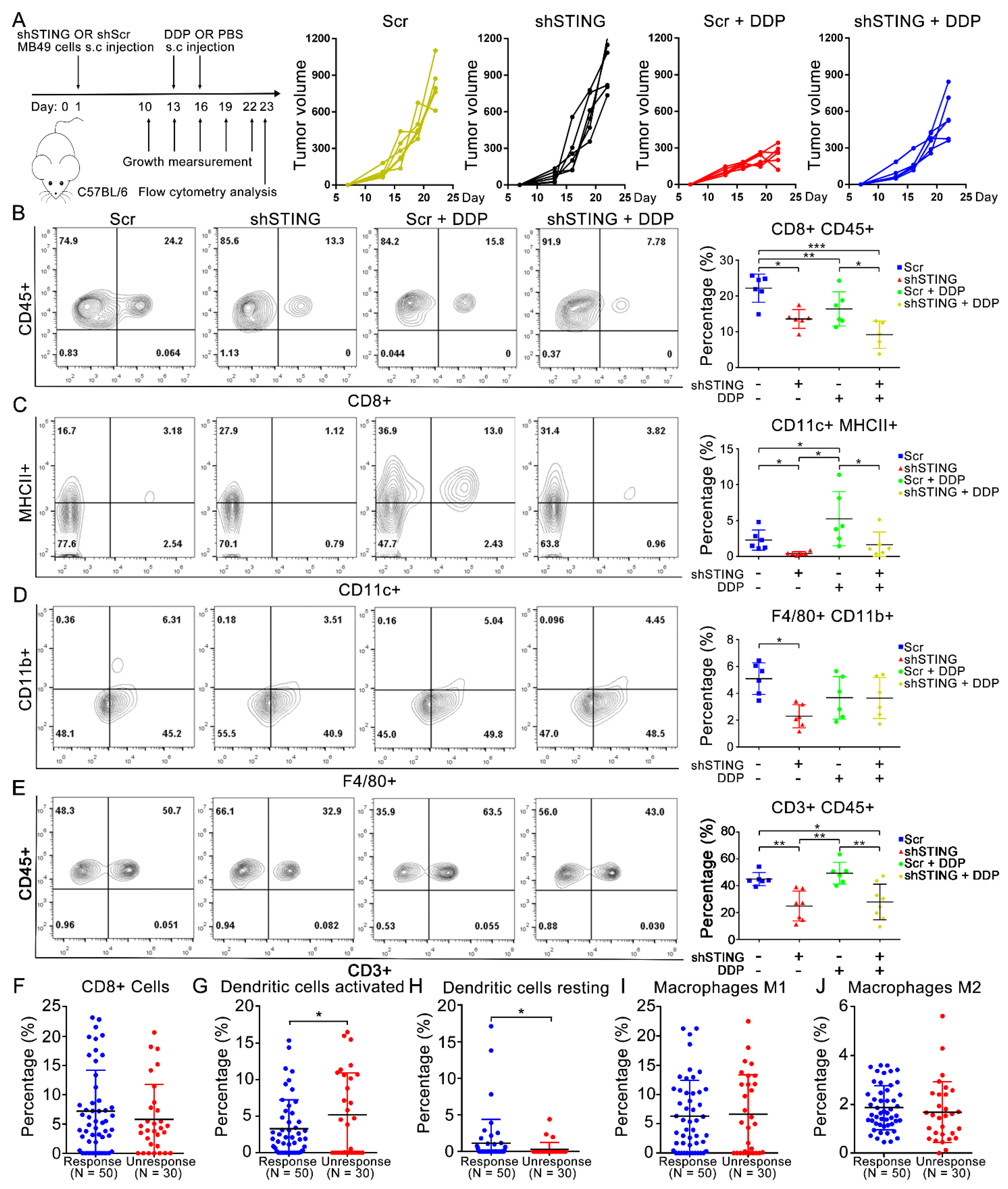 Cells 11 03011 g004 Cells 11 03011 g004