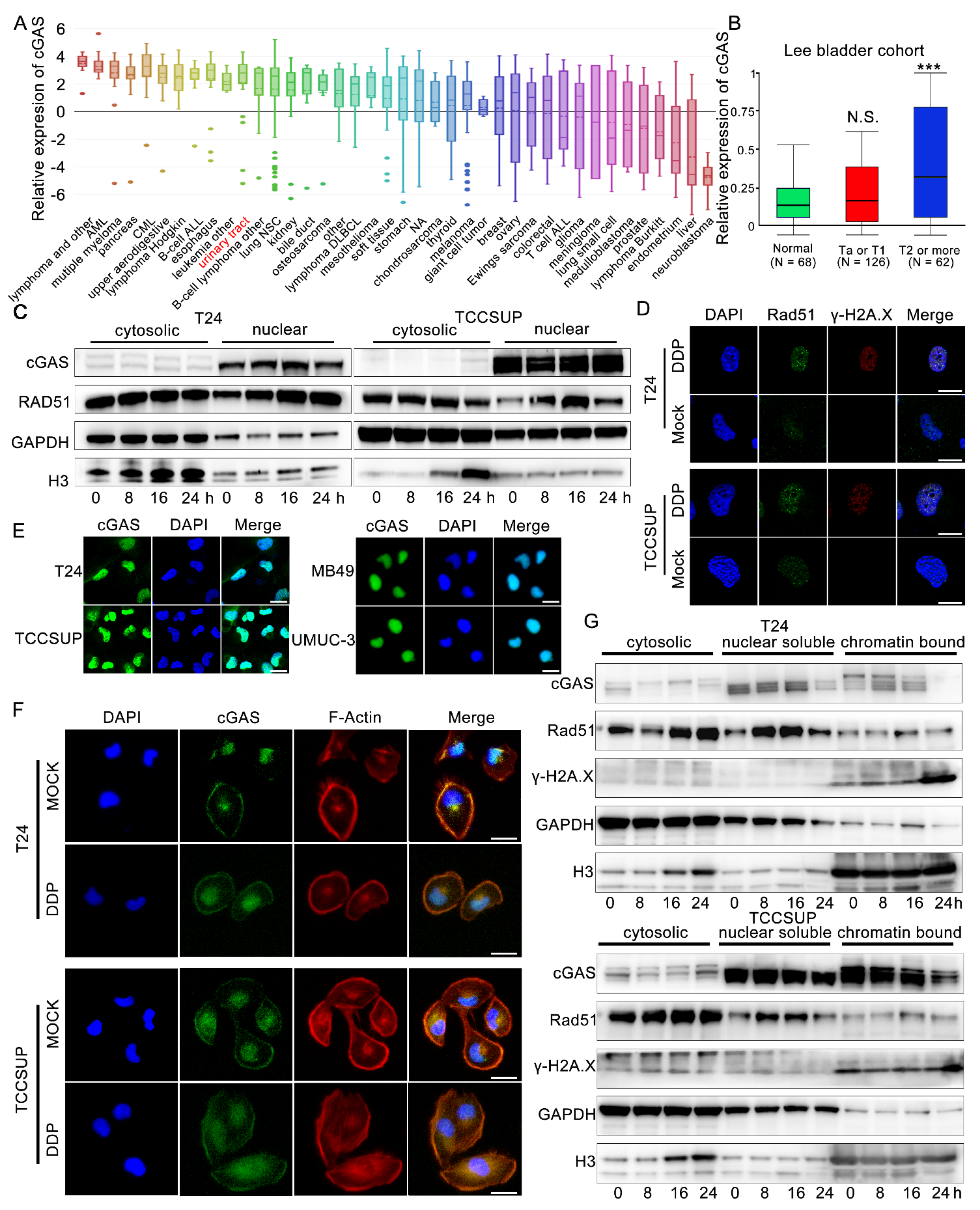 Cells 11 03011 g005 Cells 11 03011 g005