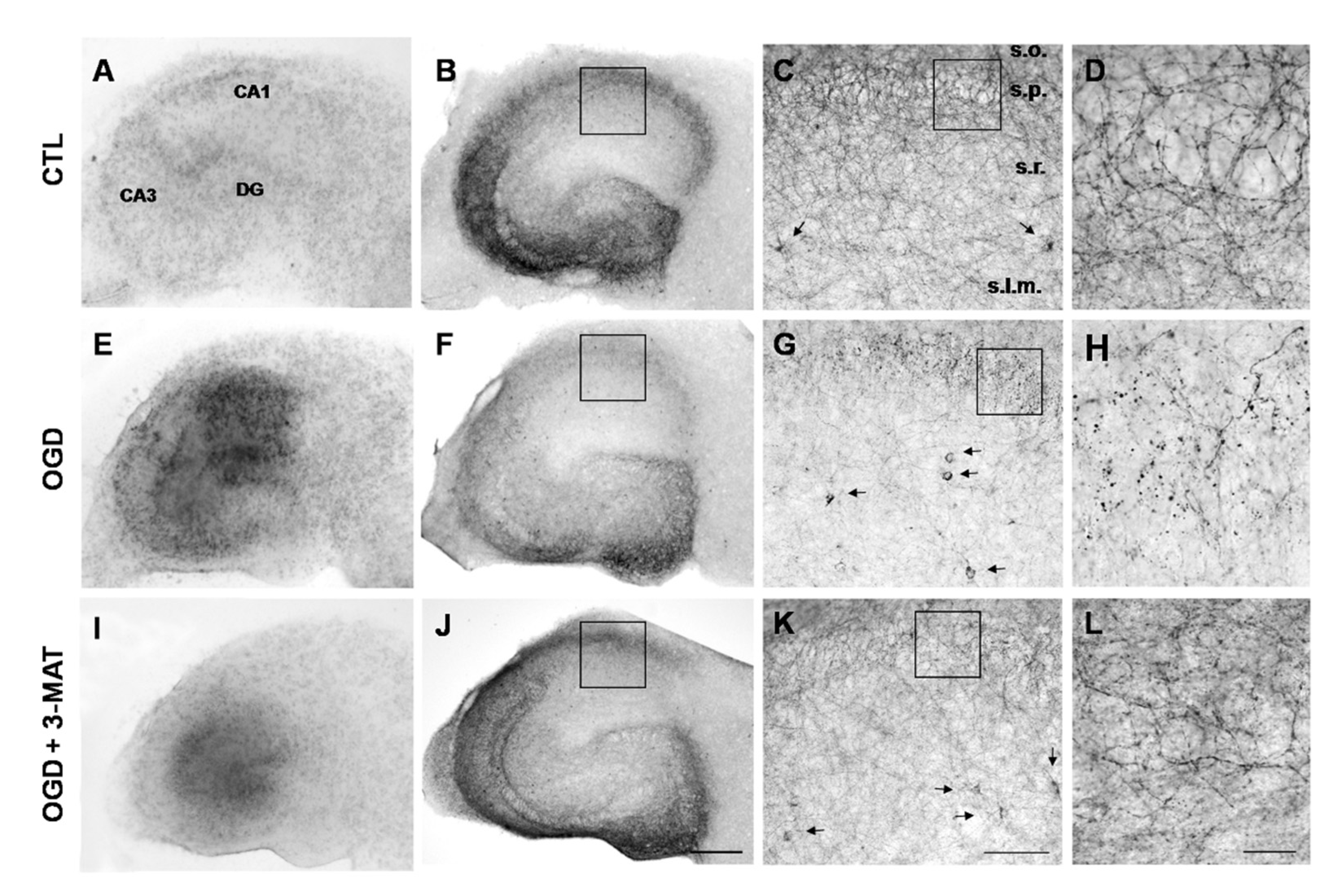 Cells 11 03015 g004 Cells 11 03015 g004